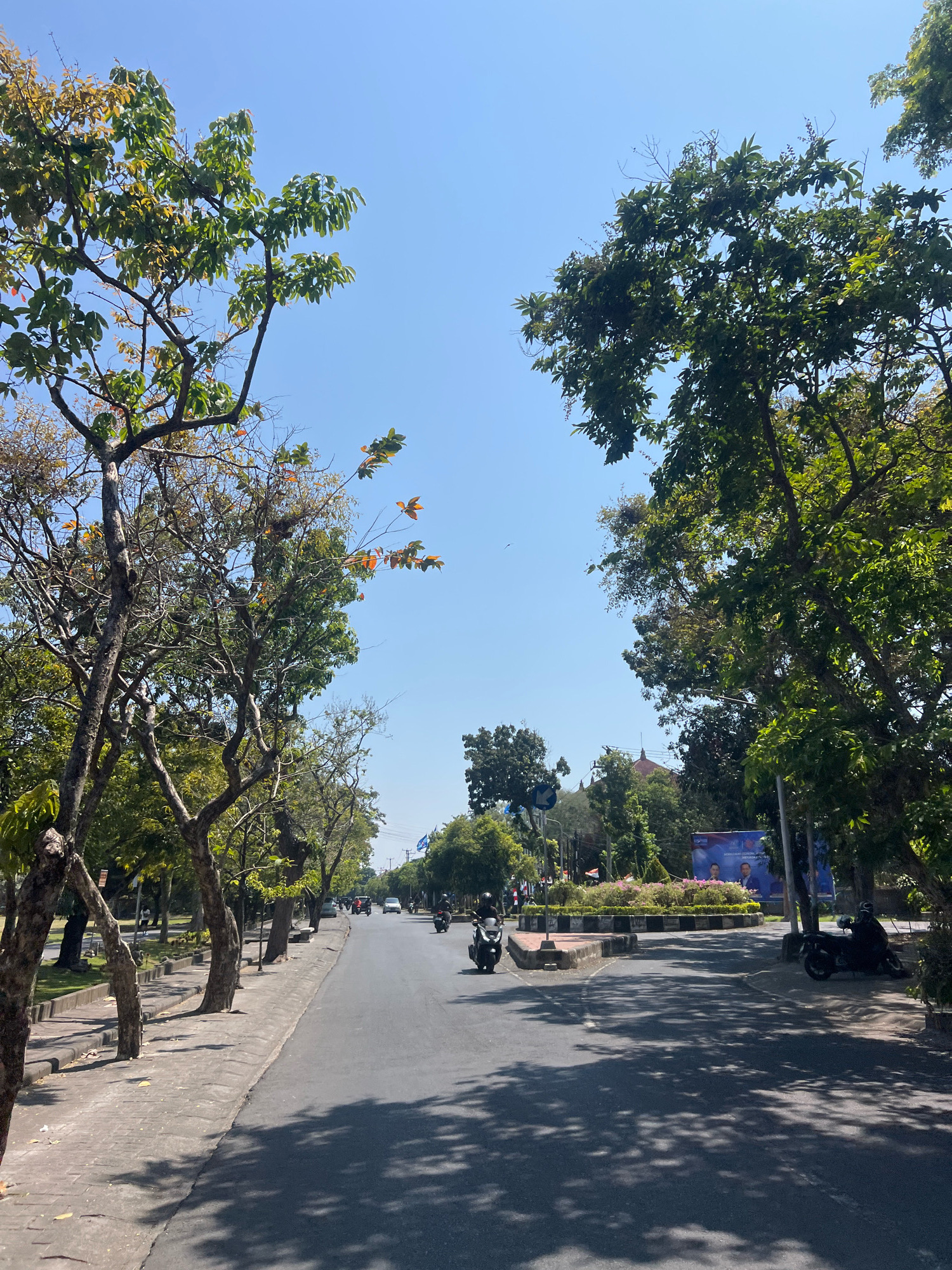 This image captures a street scene in Denpasar, Indonesia, on a sunny day. The road is paved and asphalt, with a sidewalk on the left side lined with trees casting dappled shadows. Several motorcycles are visible on the road, with some moving and others parked on the side. A large circular flower bed with pink flowers is situated in the middle of an intersection. A large blue banner with images of two men in suits is displayed behind the flower bed. The background shows more trees, buildings, and a clear blue sky. The overall impression is one of a typical urban environment in a tropical climate.