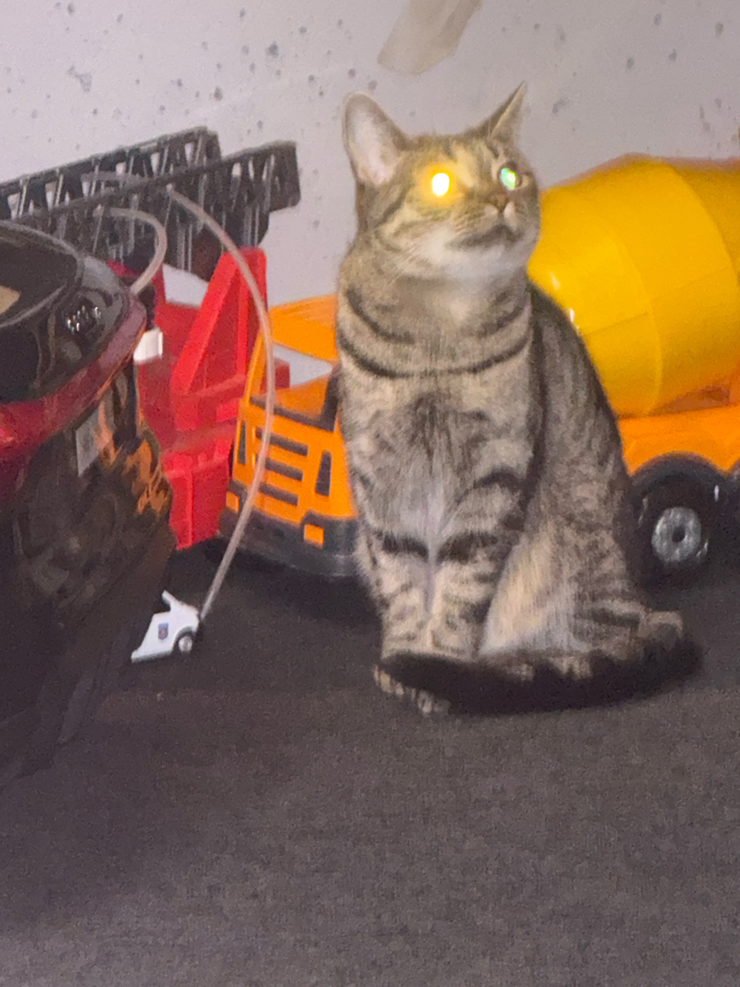 In Gorzow, Poland, a tabby cat with glowing yellow eyes is seated in the foreground. Behind the cat, a collection of toy vehicles is visible. These include a red ladder truck, a yellow cement mixer, and a red sports car. The toys are arranged on a dark, textured surface, possibly asphalt or concrete. The background appears to be a wall with speckled texture. A thin, white tube extends from the ladder truck towards a small, white toy with wheels. The cat is looking upwards and to the right.