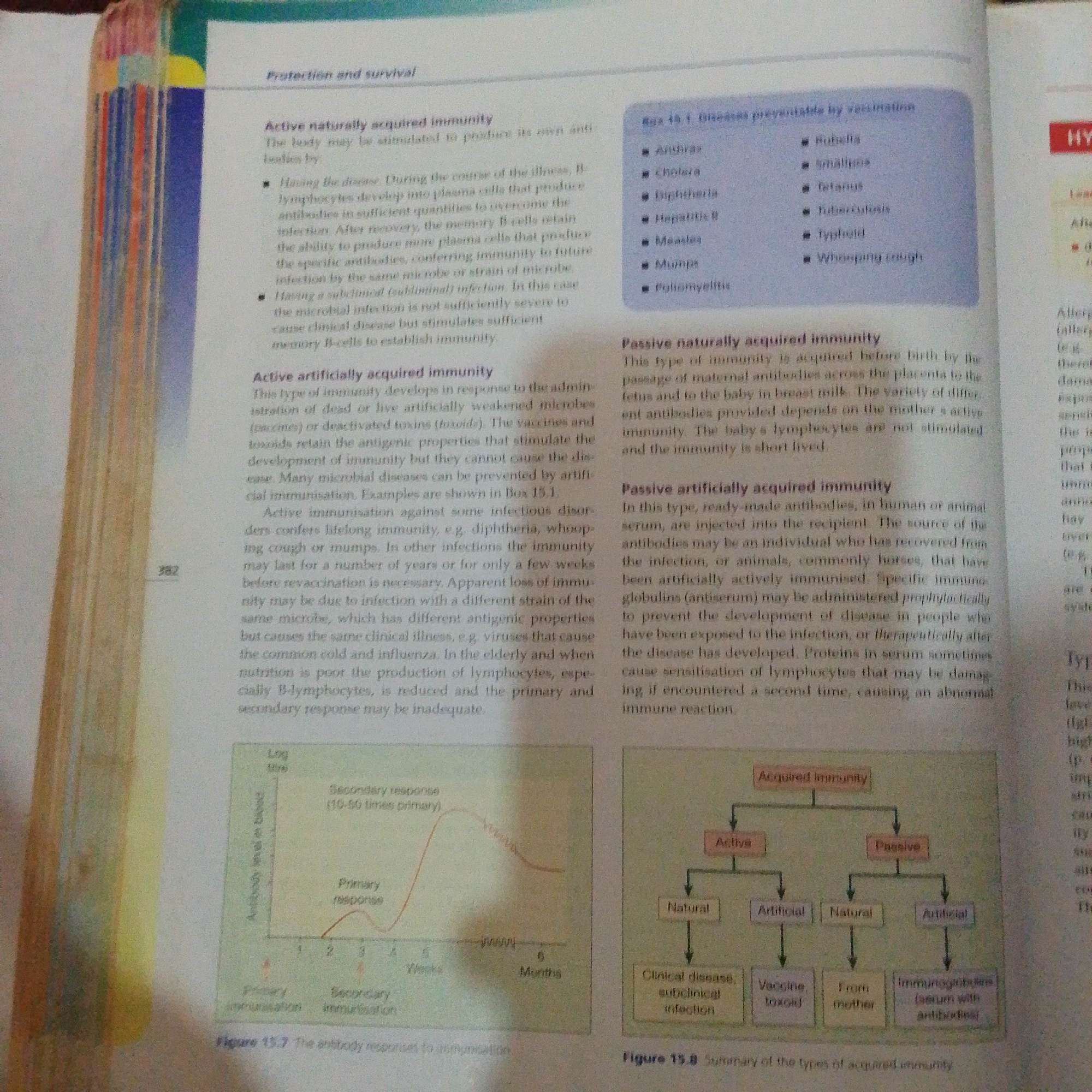 The image is a page from a textbook discussing immunology and immunization. It contains text explaining different types of acquired immunity, a graph illustrating antibody responses to immunization, and a flow chart summarizing types of acquired immunity. The text discusses active and passive immunity, both natural and artificial. The graph shows a primary and secondary antibody response over time, indicating a stronger and faster response upon re-exposure to an antigen. The flow chart categorizes acquired immunity into active and passive, with further subdivisions into natural and artificial.
There is no information in the image that pertains to the city of Jalingo, Nigeria.
