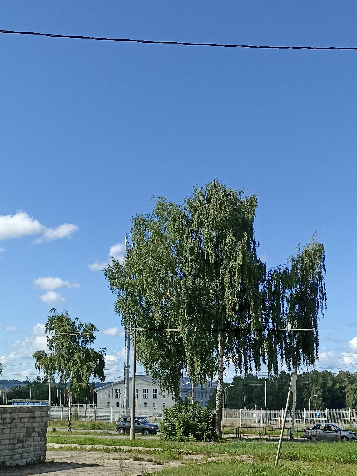 A sunny day in Votkinsk, Russia, is depicted with a clear blue sky dotted with scattered white clouds. In the foreground, a brick wall section is visible on the left, with paved ground and grass. Several birch trees with green foliage are prominent, including a large one in the center with drooping branches. A power line stretches across the upper portion of the image. In the middle ground, a light-colored building with multiple windows stands behind a white fence. A dark-colored SUV is parked near the building, and a silver sedan is visible on the right. A few individuals can be seen in the distance near the fence, one of whom appears to be wearing red. The environment suggests an urban or semi-urban setting with trees, buildings, and roads.