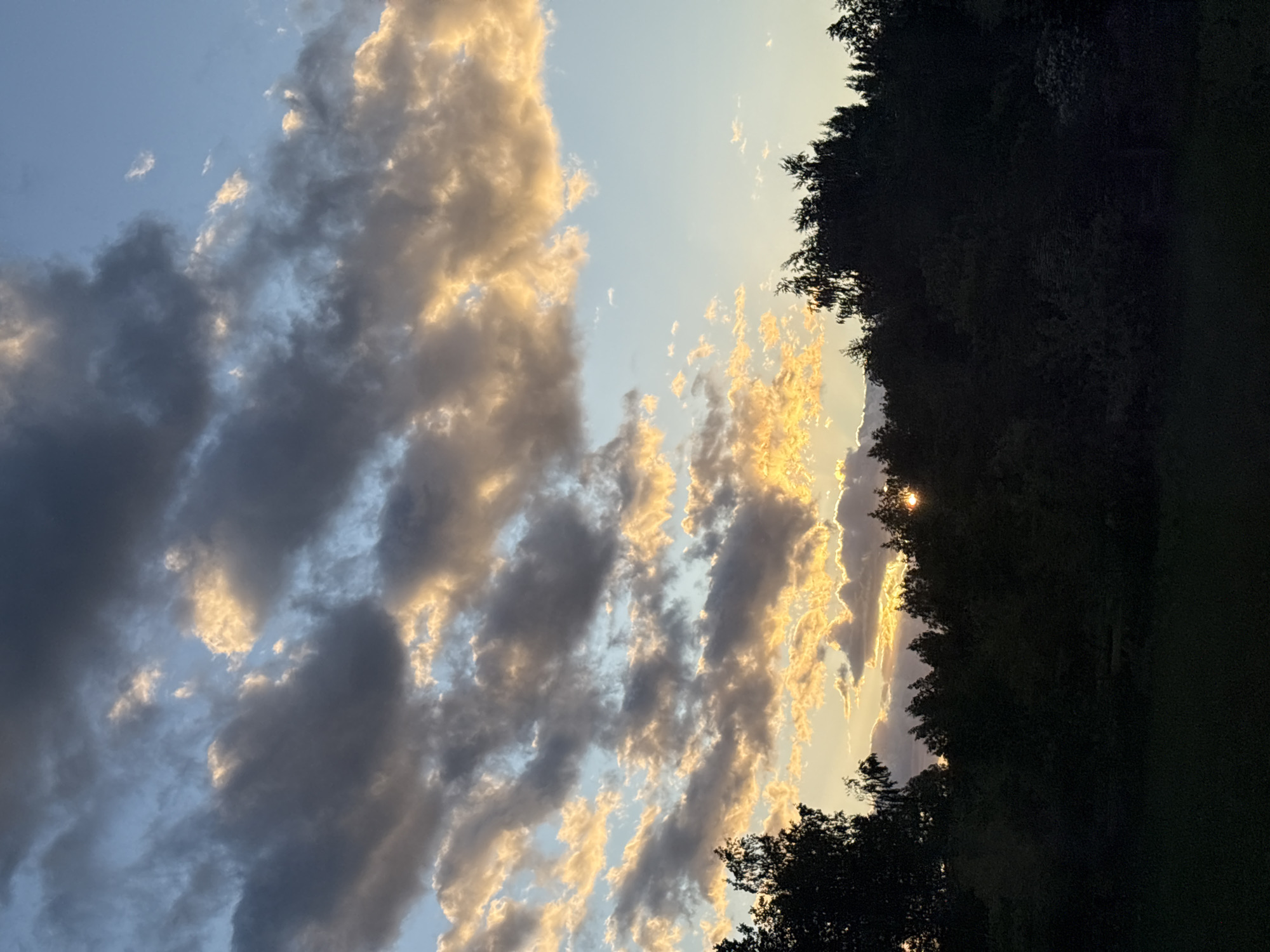 The image captures a sky with a mix of clouds, some dark and gray, others illuminated with a golden light, suggesting either sunrise or sunset. On the right side, the silhouettes of trees form a dark border, with a glimpse of the sun visible through the foliage. The location is Мажэйкаўскі сельскі Савет, Belarus.