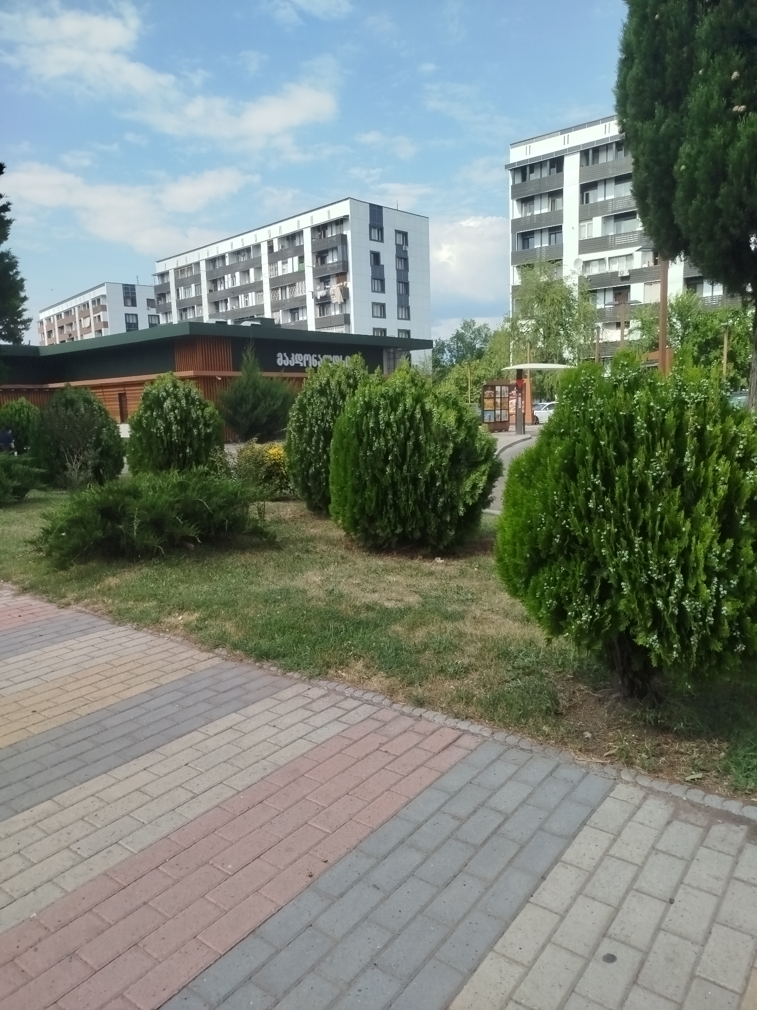 In Rustavi, Georgia, an outdoor scene unfolds with a multi-colored brick pathway in the foreground leading towards a green lawn. Several manicured evergreen bushes are arranged on the lawn, some spherical and others more shrub-like. Behind the bushes, a low-rise building with a dark green roof and light brown wooden paneling is visible. A sign with Georgian script is mounted on this building. In the background, a row of modern apartment buildings with white and dark gray facades stand under a sky with scattered clouds. The overall setting appears to be a well-maintained urban residential area.