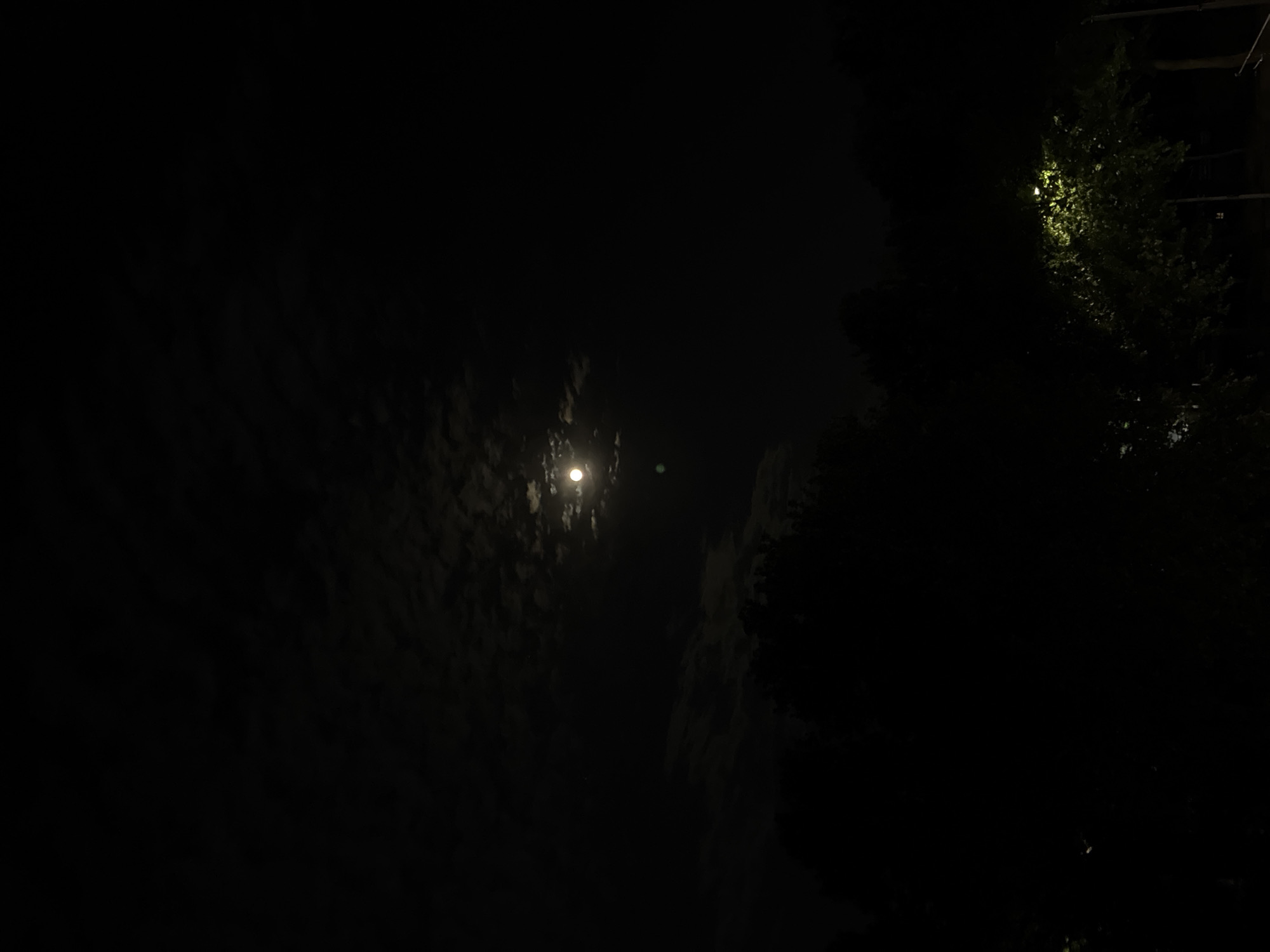 A night scene, likely in Varna, Bulgaria, given the prompt. The image is dark, with the illumination primarily from a distant, small, and obscured light source in the upper center. The light may be the moon. The surroundings are largely obscured, but suggest vegetation such as foliage and trees on the right side of the frame, in what might be a garden or park. Other surfaces appear rough and uneven suggesting a stone-like wall or dark clouds. The location can not be pinpointed with only the visual data. There are no people visible in the scene. The objects in the scene include the illumination light source.