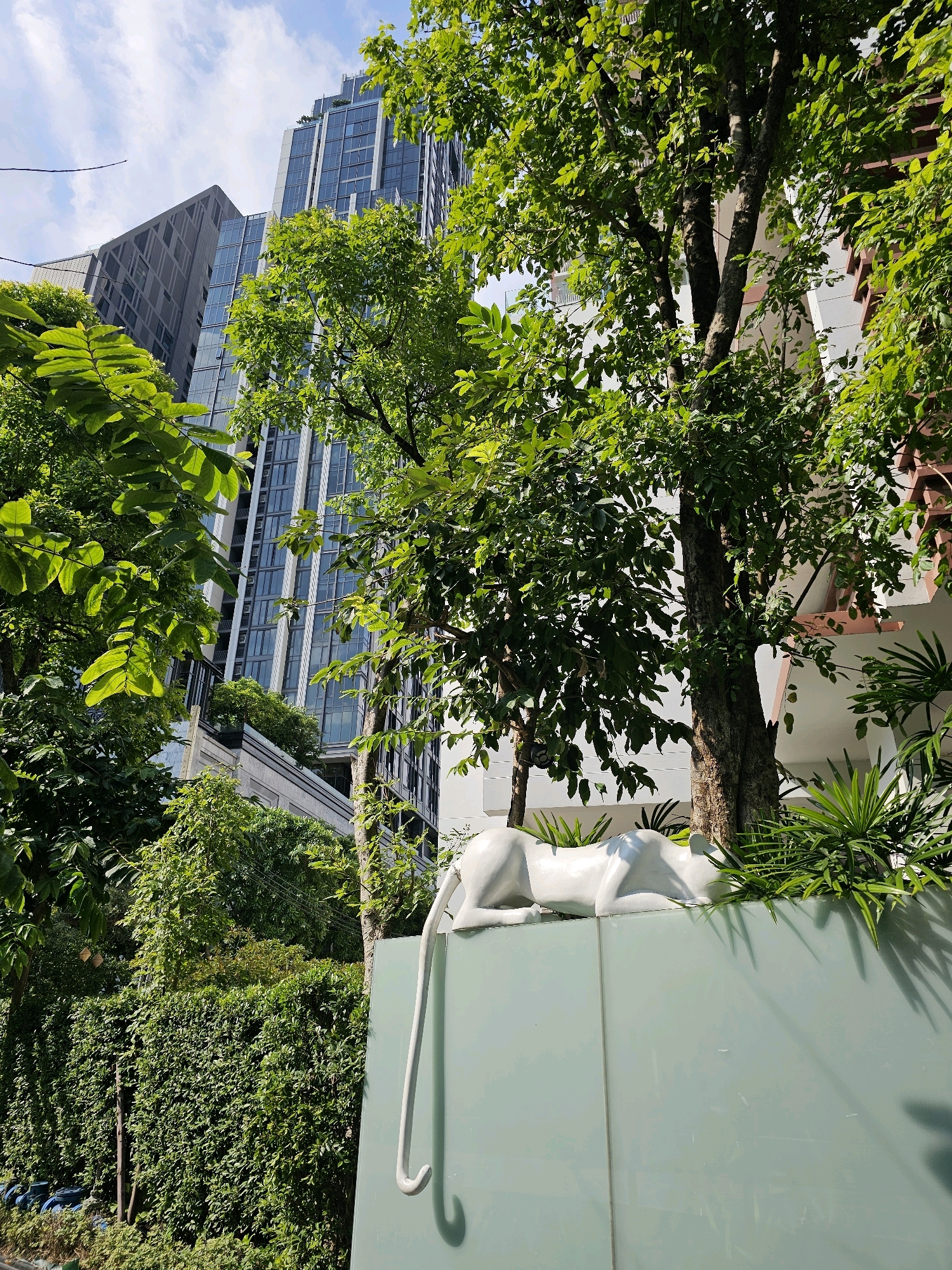 The image shows a street view in Bangkok, Thailand, with a modern, multi-story building in the background. Lush green trees and foliage are abundant, framing the view of the building and creating a sense of urban nature. In the foreground, a light blue frosted glass wall is visible, topped with a white sculpture of a reclining animal, possibly a leopard or a panther, with its tail extending over the edge. The sculpture is placed among several palm plants. The sky above is partly cloudy.