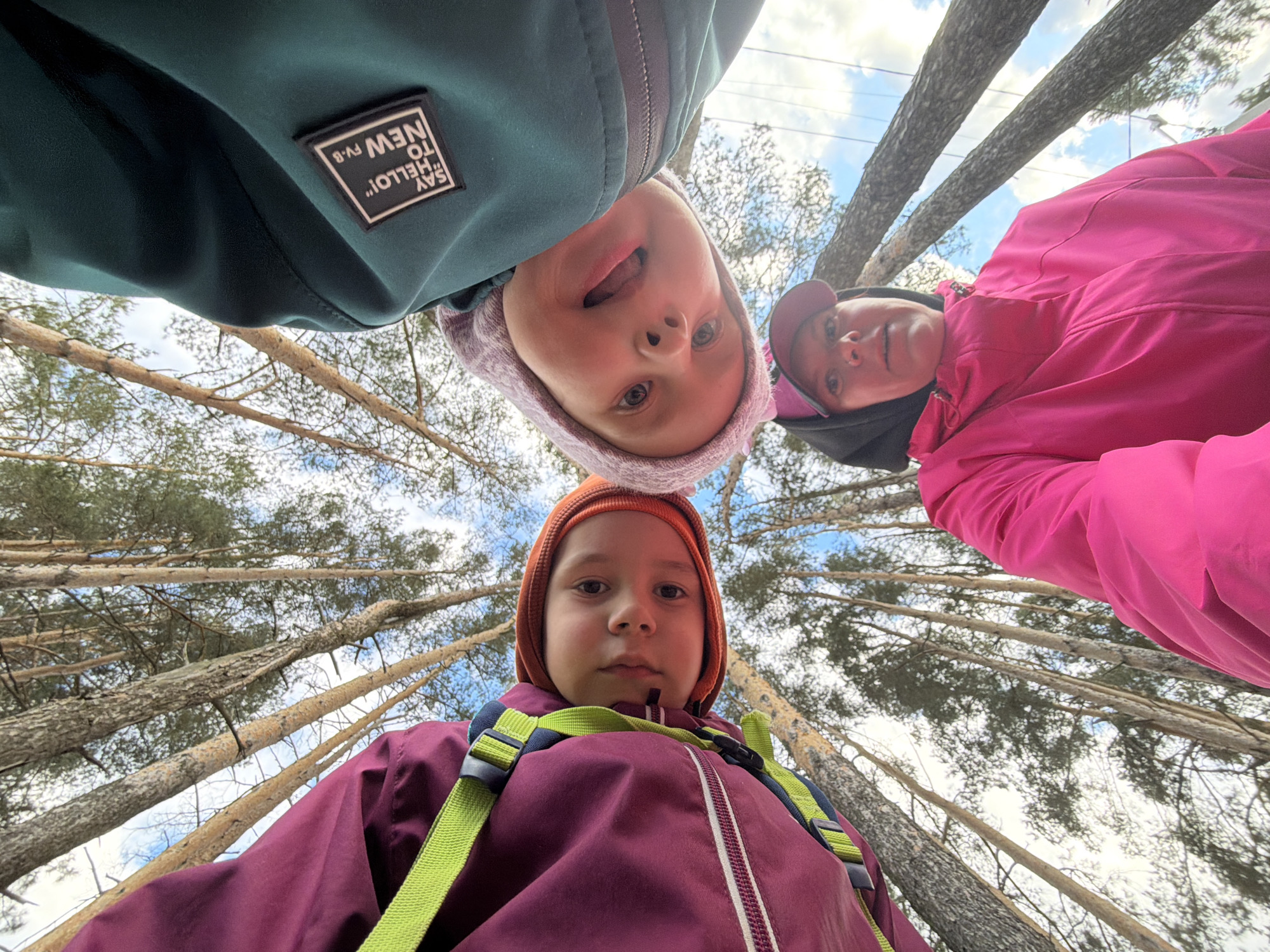 This image presents a unique, low-angle perspective of three individuals looking down directly into the camera, set within a tall pine forest in Chaikovsky, Russia. The camera appears to be placed on the ground, pointing upwards, creating a dynamic composition.
In the upper left quadrant, a child is visible, wearing a dark teal jacket featuring a black and white rectangular patch with the rotated text "SAY "HELLO!" TO NEW PV.8". She also wears a light purple or pink hooded garment and has a playful expression, with her tongue slightly extended. To her right, an adult, likely female, is seen in a vibrant bright pink jacket and a dark baseball cap, looking towards the camera with a neutral gaze. At the bottom center, another child is featured, dressed in a maroon or dark purple jacket with prominent lime green straps, possibly from a backpack or carrier, and an orange knitted hat. This child also looks straight into the lens.
The background consists of numerous tall, slender pine tree trunks and branches extending upwards, against a bright, partly cloudy sky. The natural light indicates it is daytime, and the layered clothing suggests cool weather. The scene conveys a relaxed outdoor activity, such as a walk or exploration in the forest.