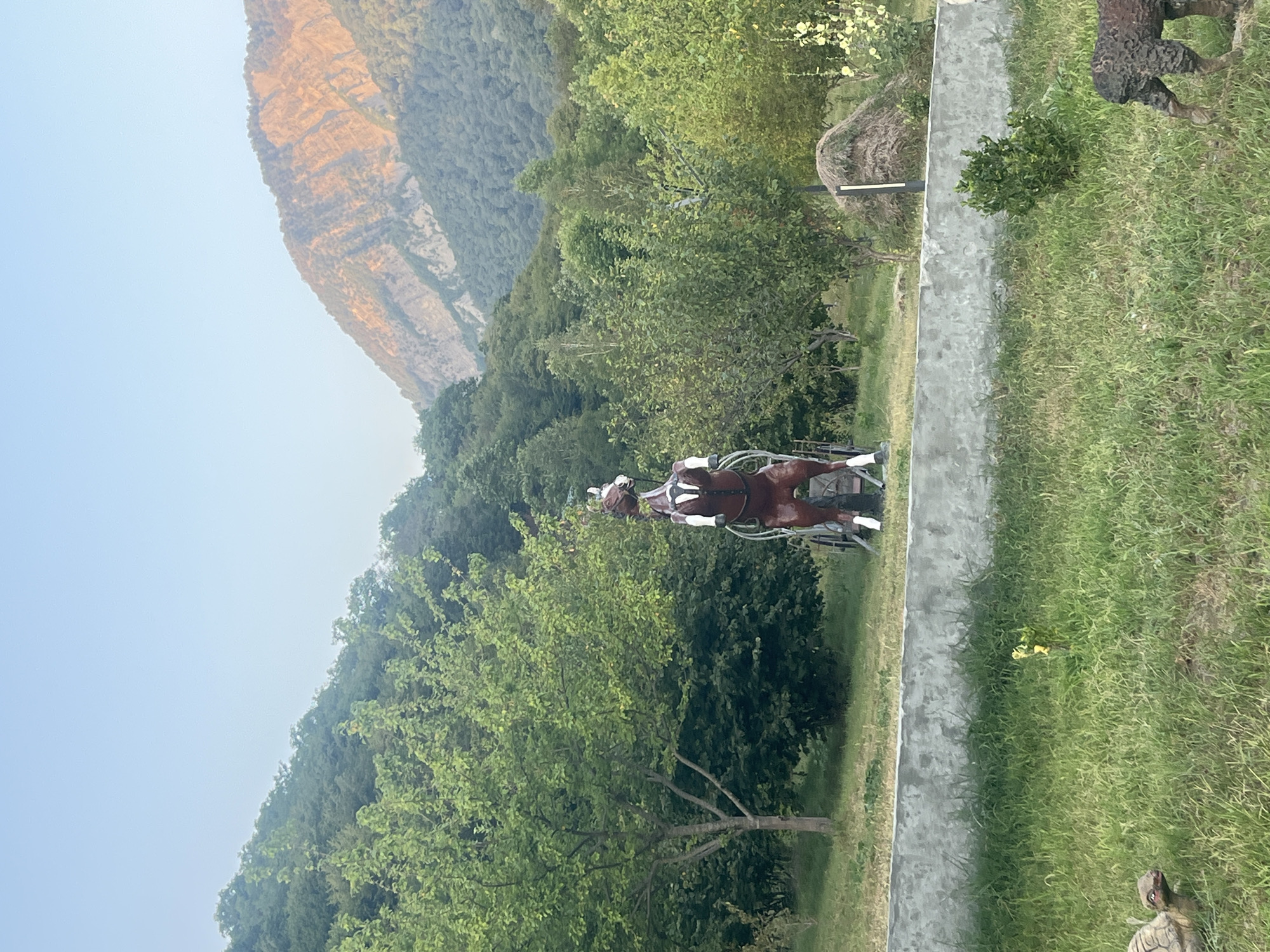 The image captures a scenic view in the Ismailli District of Azerbaijan, characterized by lush greenery and mountainous terrain. In the foreground, a statue of a horse rearing up on its hind legs stands prominently. The horse statue is brown with white markings on its legs and face, and it appears to be harnessed to a decorative cart. To the left of the horse, a statue of a turtle is visible on the grass. To the right, a statue of what looks like a stylized sheep or ram is also present. A low concrete wall separates the area with the statues from a patch of mowed grass in the immediate foreground. Beyond the wall, the ground is covered in grass with some scattered bushes and trees. In the middle ground, a small haystack with a vertical pole is situated. The background is dominated by a dense forest covering the slopes of mountains, with the peaks catching the warm glow of the setting sun. The sky is a clear, pale blue. The overall impression is a tranquil, rural landscape with decorative elements.