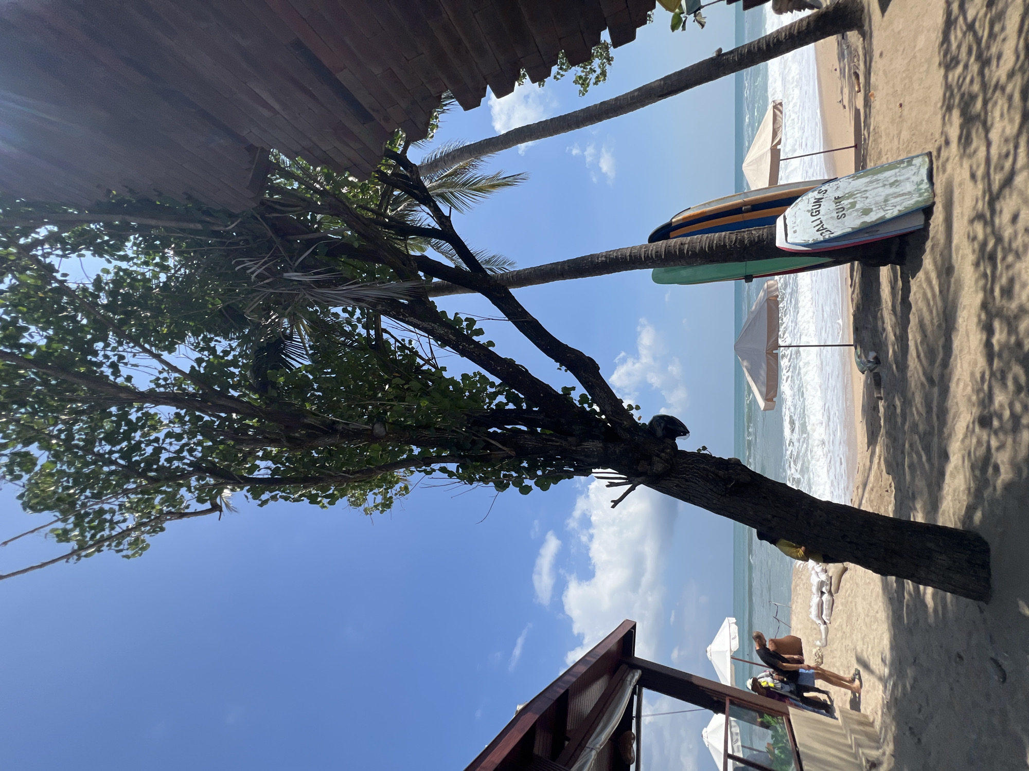 This is a ground-level, eye-level outdoor shot of a beach in Kuta, Indonesia. The foreground is dominated by a large tree trunk with a helmet strapped to it, casting shadows on the sand. Three surfboards are propped up against a palm tree. In the midground, the ocean waves crash onto the sandy shore. Two umbrellas are set up on the beach, and a person in a yellow shirt is partially visible behind the tree. To the left, a beach structure with a wooden roof and open sides is visible, with two people standing near it. The sky is blue with scattered white clouds.
