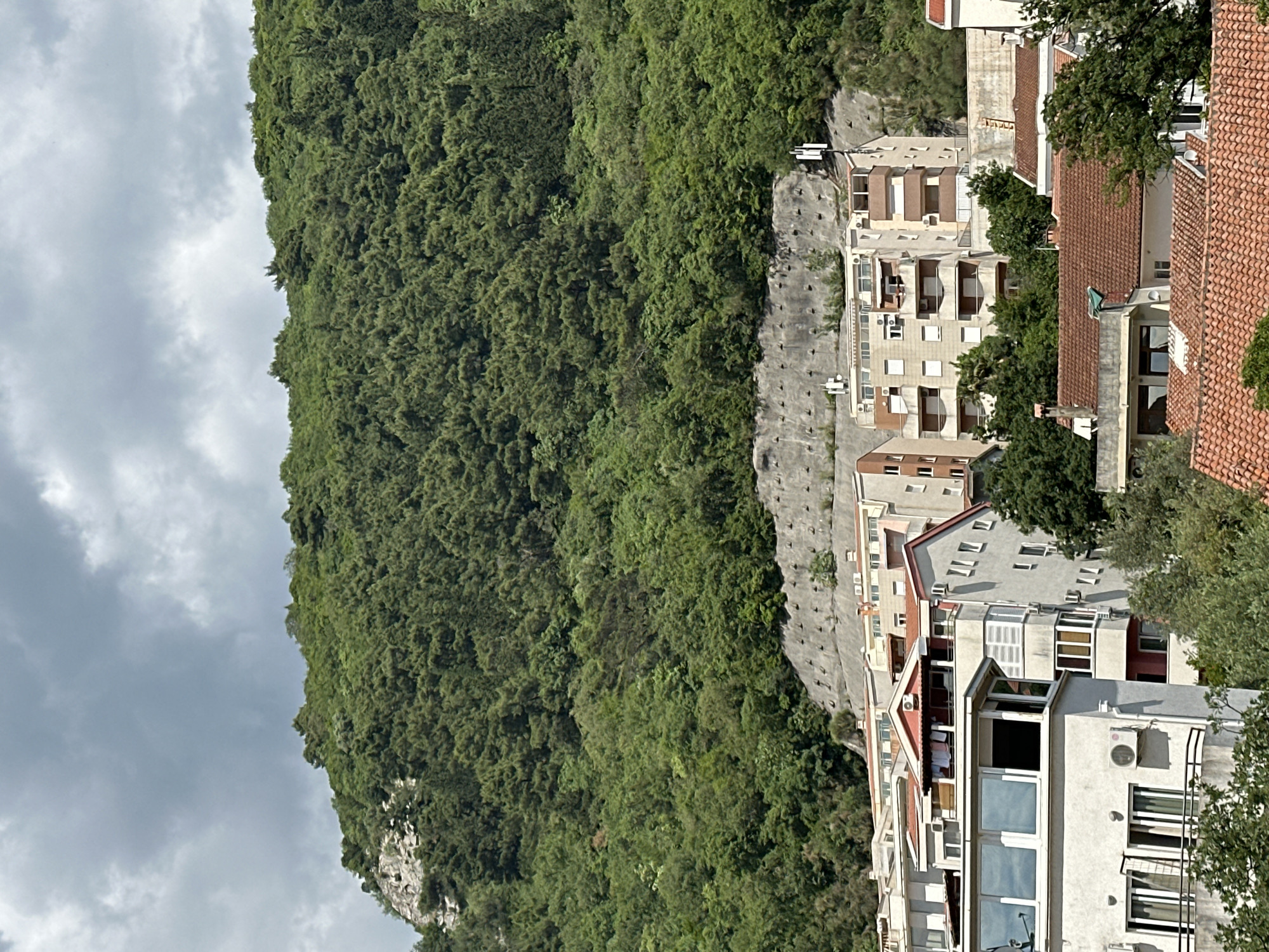 The image presents a view of a mountain or large hill heavily covered with dense green vegetation, likely located in or near a residential area. The vegetation appears lush, consisting predominantly of trees and other foliage. Adjacent to the forested area are buildings with varied architectural styles, some featuring balconies and different colored roofs. The sky is overcast, with thick, grey clouds visible. The image appears to be taken at a location that overlooks both the natural landscape of the mountain and the urban environment of the buildings.