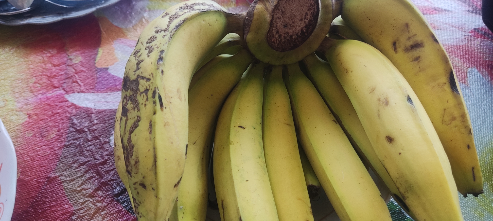 A bunch of ripe bananas, some with brown spots, are displayed on a patterned tablecloth. The tablecloth features a colorful abstract design with hues of pink, orange, yellow, and blue. The bananas are a bright yellow, with some showing slight green undertones. The image is a close-up, top-down view of the fruit, with the stems clustered together at the top. The background is softly blurred, drawing attention to the bananas. There are no people or animals visible in the image. The scene appears to be indoors, possibly on a kitchen table or counter. The overall impression is one of fresh produce ready for consumption. There is no information in the image to suggest its location in Gebang, Indonesia.