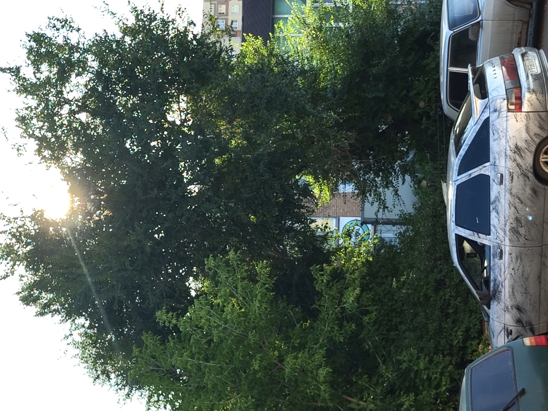 A silver sedan with a unique marble-like paint job is parked on a street in Zhukovsky, Russia. A second, lighter-colored sedan is parked behind it. Both cars are stationary. Lush green trees partially obscure a brick building in the background. The sun is shining brightly through the leaves of the trees.