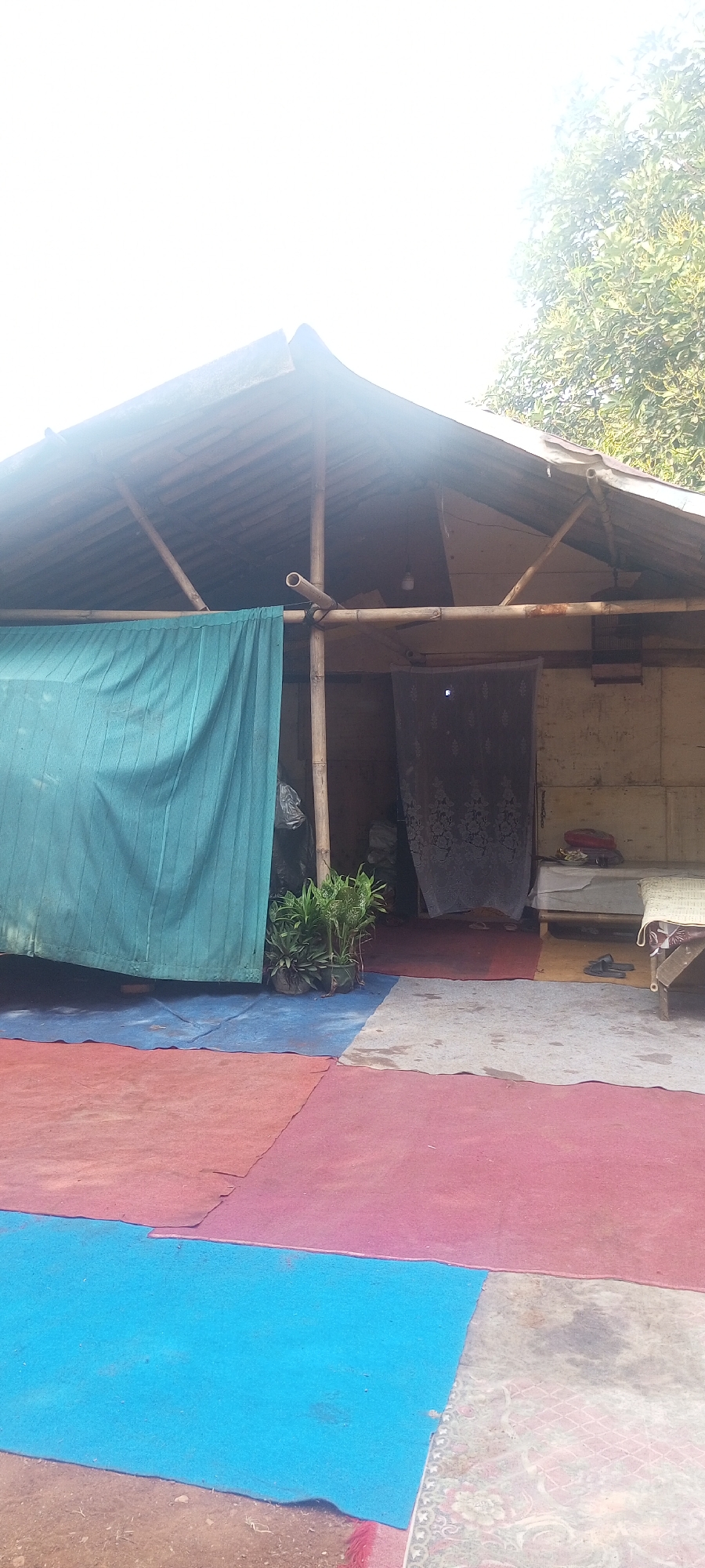 This image depicts an outdoor scene in Taman Rahayu, Indonesia, featuring a makeshift shelter constructed with bamboo poles and a corrugated roof. A large teal curtain hangs on the left side of the shelter, partially obscuring the entrance. Inside, a dark floral-patterned curtain is visible, along with a simple bed or resting area with cushions. In front of the shelter, the ground is covered with colorful mats, including red, blue, and a patterned rug. Several potted plants are placed near the entrance, adding a touch of greenery. The overall impression is one of a simple, functional living space in an outdoor environment, possibly a temporary dwelling or an open-air workshop. The presence of a lightbulb hanging inside the shelter suggests it is also used at night. The background reveals foliage from trees, indicating a natural or semi-rural setting.