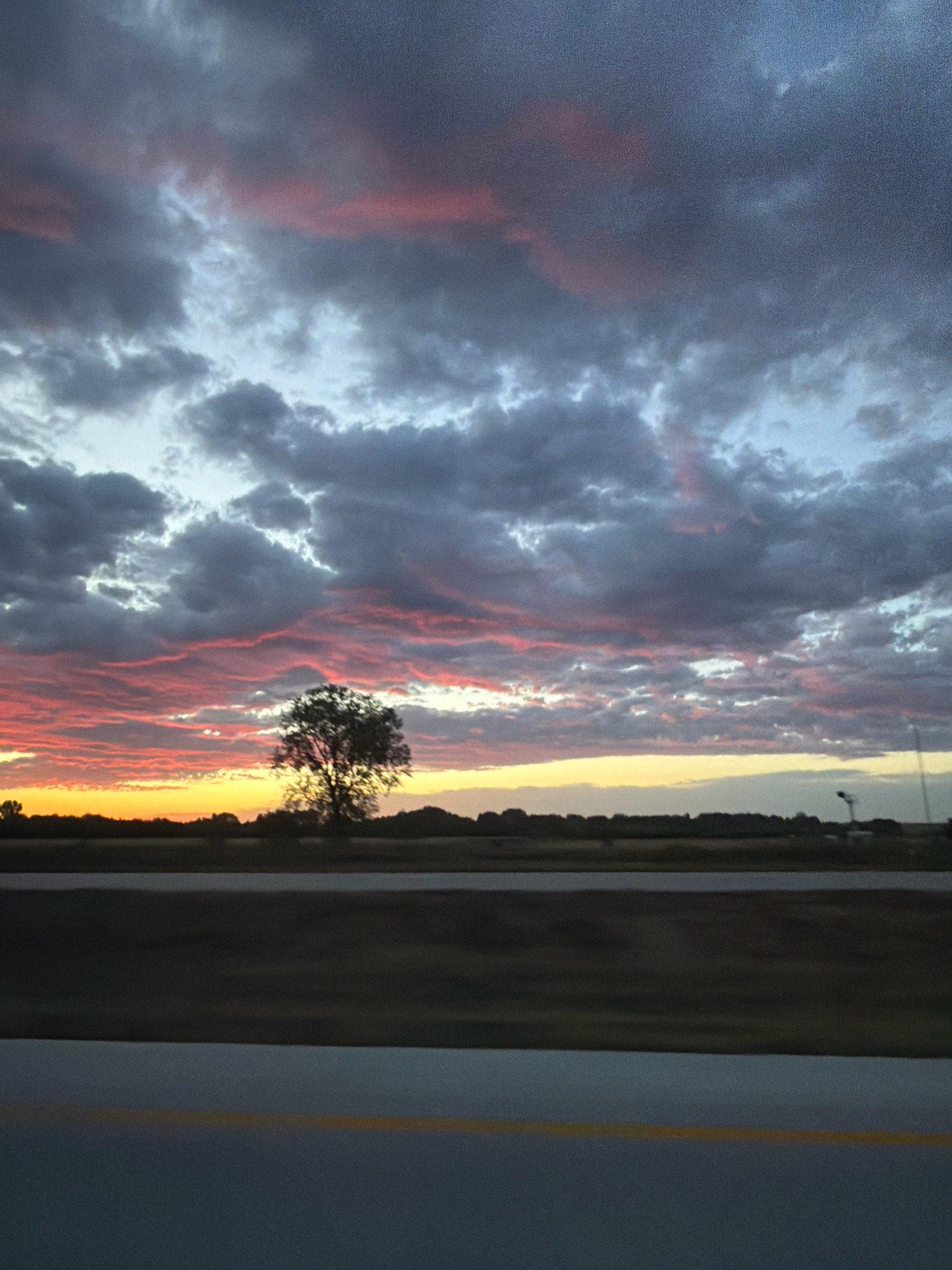 The image captures a dusky, cloudy sky with hues of pink and orange near the horizon. A silhouette of a lone tree stands against the vibrant sky, positioned above a dark, flat landscape. In the foreground, a grey asphalt road with a yellow line is visible, suggesting a view from a moving vehicle on a highway. The environment appears to be rural or semi-rural, with no specific city landmarks or identifiable structures apart from the tree and distant, indistinct vegetation. The time of day is clearly sunset or twilight. The overall scene is characterized by dramatic cloud formations and muted light.