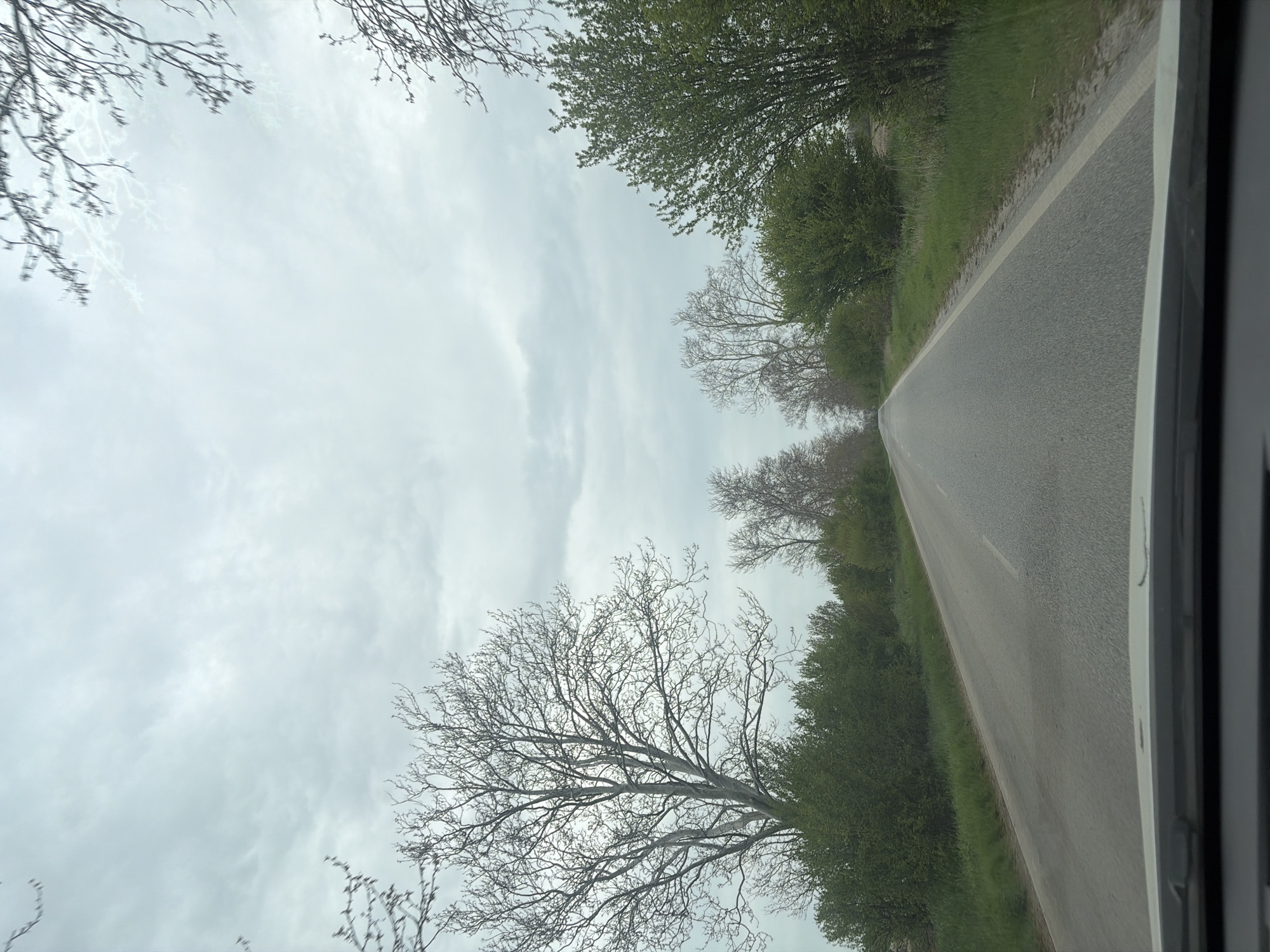 The image shows a rural road in Boliartsi, Bulgaria, viewed from inside a vehicle. The road stretches into the distance with green vegetation lining each side. Bare trees are visible in the upper portion of the frame, contrasting with the cloudy sky. A portion of the vehicle's frame is visible on the right side of the image. The road appears to be asphalt.