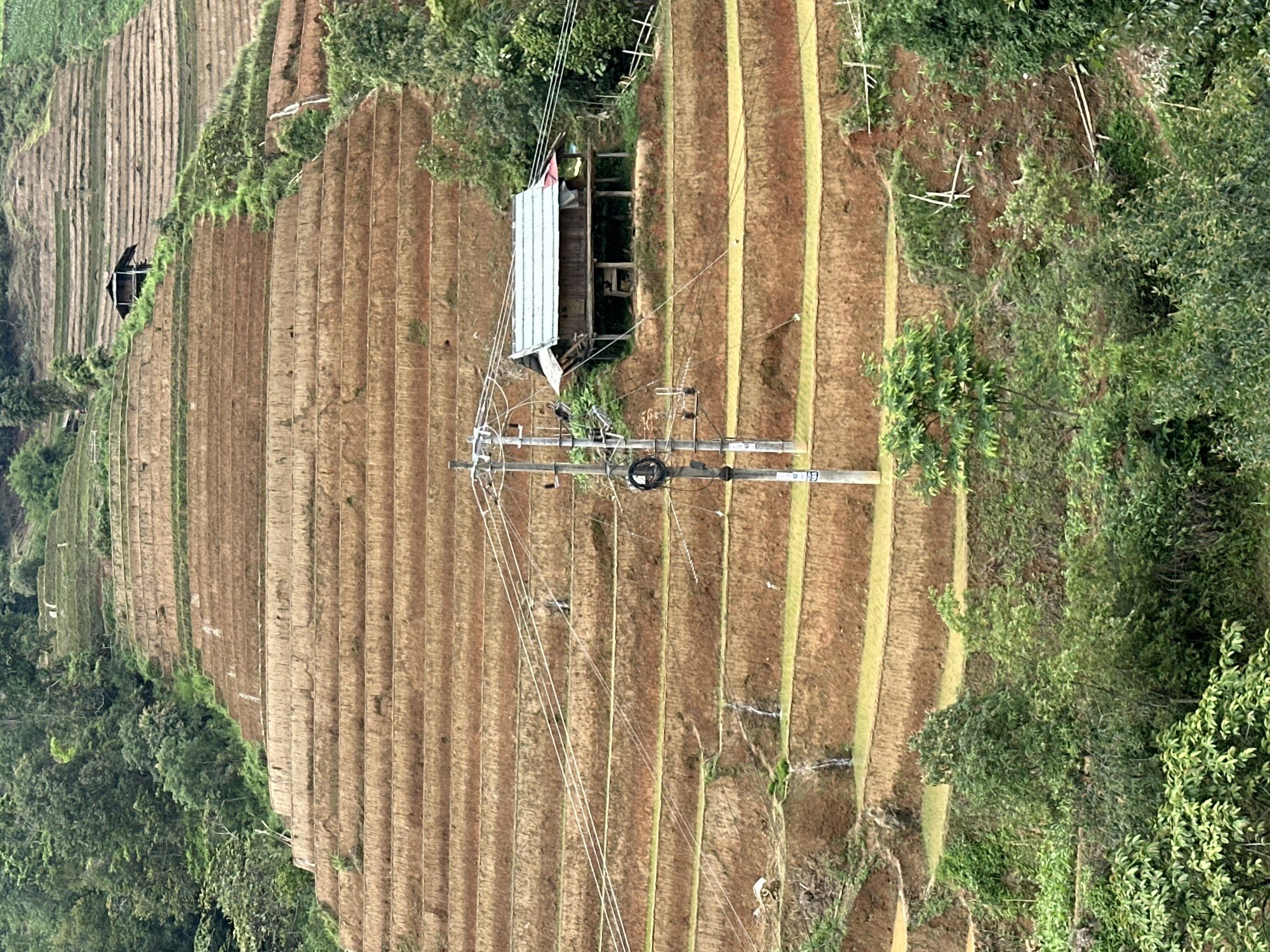 This image depicts an extensively terraced hillside in Púng Luông, Vietnam, under an overcast sky. The landscape is dominated by numerous, parallel agricultural terraces, primarily exposing reddish-brown soil, with interspersed patches of green vegetation and some water-filled paddies. Dense, dark green foliage, consisting of trees and shrubs, flanks the upper left and lower portions of the terraced area.
A prominent utility pole with multiple power lines crosses the middle ground, extending diagonally across several terraces. A rustic wooden stilt house, featuring a light-colored or grey corrugated metal roof, is situated on one of the terraced levels in the mid-right section of the image. A second, smaller, and less distinct house is visible much higher up the hill, to the upper left.
Several small streams or cascades of water are visible flowing down the terraced levels in the lower-left and mid-left areas. Faint bamboo or wooden structures, possibly fences or supports, are present near the main house and within the terraced fields. No individuals are visible in the scene.