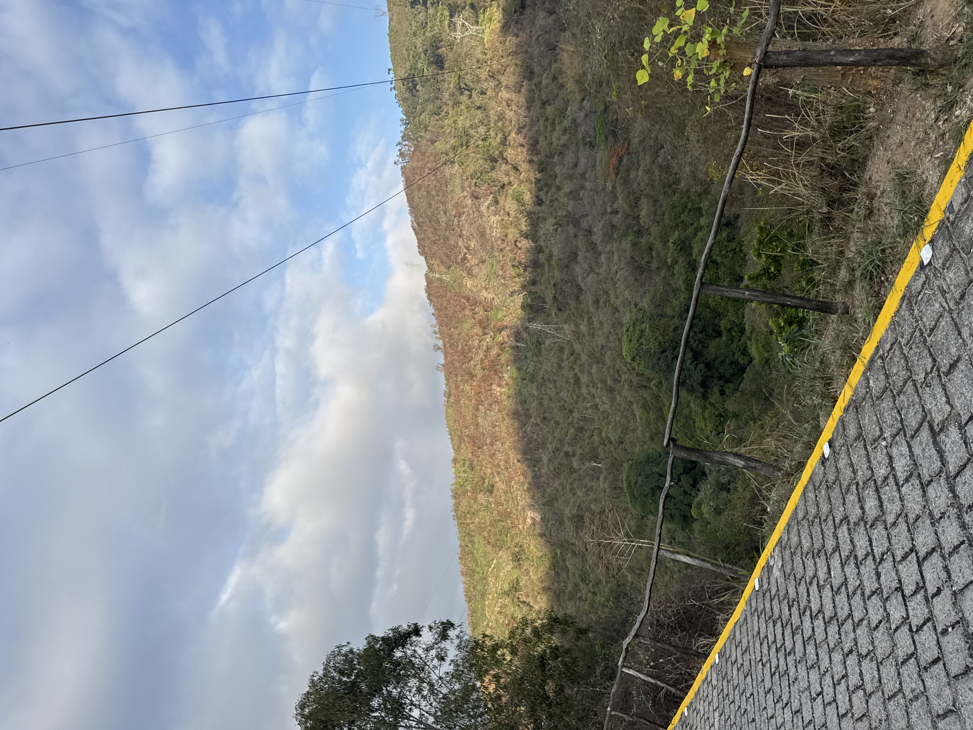 The image depicts a hillside landscape in Caracas, Venezuela. The hillside is covered in vegetation ranging from brown, dry scrub to patches of green trees and foliage. Utility lines stretch across the sky from left to right. Part of a paved walkway or road with a yellow safety stripe is visible in the foreground. A simple wooden fence borders the road. The sky is partly cloudy.