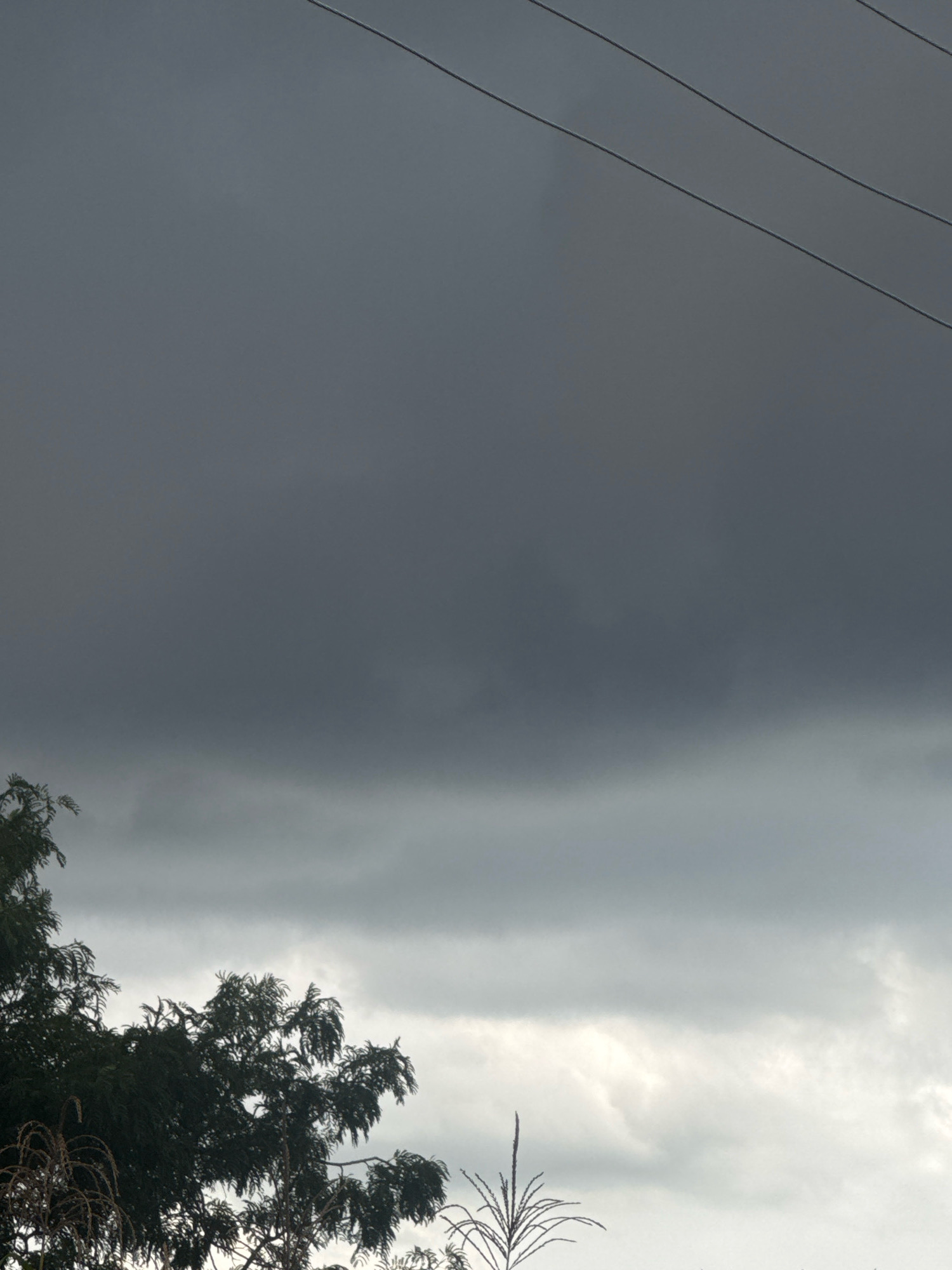 A low-angle outdoor shot shows dark, heavy clouds dominating the sky, with thin power lines stretching diagonally across the top portion of the frame. In the lower third, the tops of dark green foliage and a dry corn stalk are visible, silhouetted against the cloudy sky. The overall mood is somber and foreboding, suggesting an impending storm. The location is Unknown, Unknown.