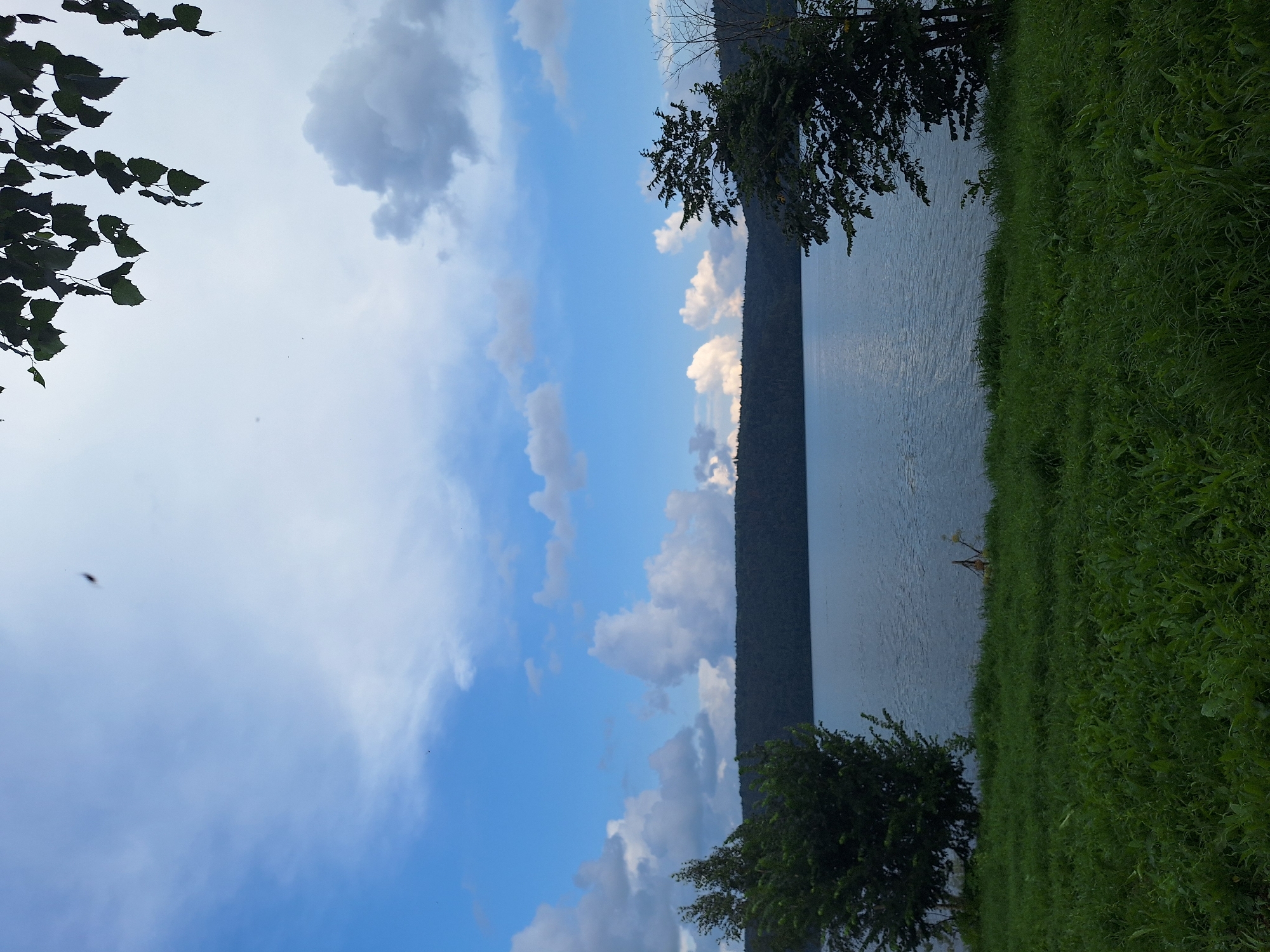 The image depicts a serene natural landscape. A calm body of water, likely a lake or reservoir, dominates the central part of the frame. On the far side of the water, a dense, dark green treeline forms a horizontal barrier across the horizon. The sky above is a dynamic mix of blue and white, with scattered clouds, some appearing soft and wispy, while others are more voluminous and textured. In the foreground, a lush green grassy area slopes gently towards the water's edge. Two distinct trees are visible: one on the left, with a full, rounded canopy, and another on the right, taller and more sparse in its foliage, revealing some bare branches. Overhanging the upper right portion of the image are the dark green leaves of a tree, providing a framing element. The scene is devoid of human presence or any explicit urban elements, suggesting a remote or natural setting.