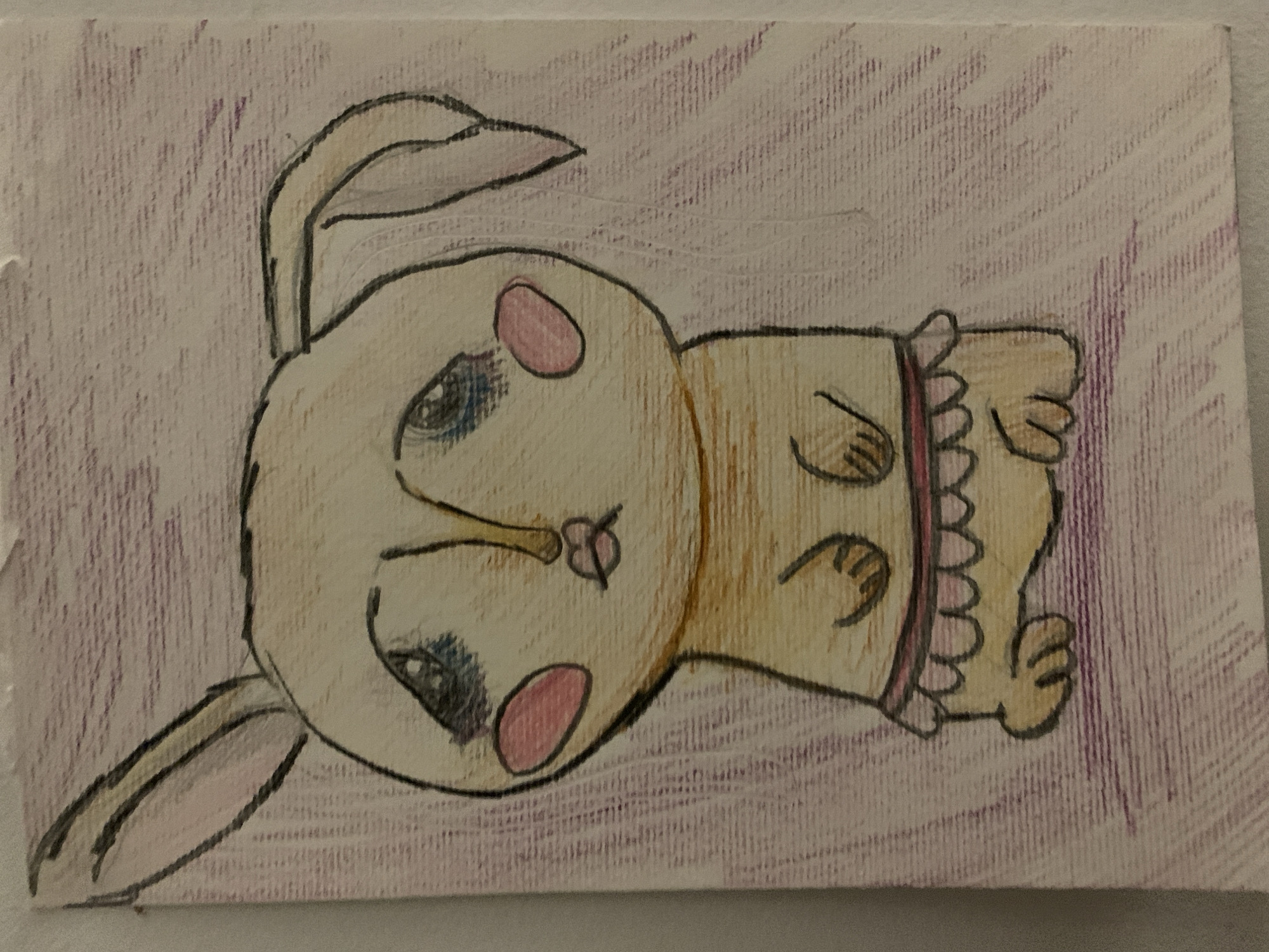 A hand-drawn illustration of a rabbit is centered in the image. The rabbit is primarily yellow with pink cheeks and a pink band around its body. Black outlines the rabbit's features, including its eyes, nose, ears, and paws. The background is a light purple with visible pencil strokes. The image appears to be on a canvas or thick paper. The location of Vozdovac Urban Municipality, Serbia, is not depicted in the image.