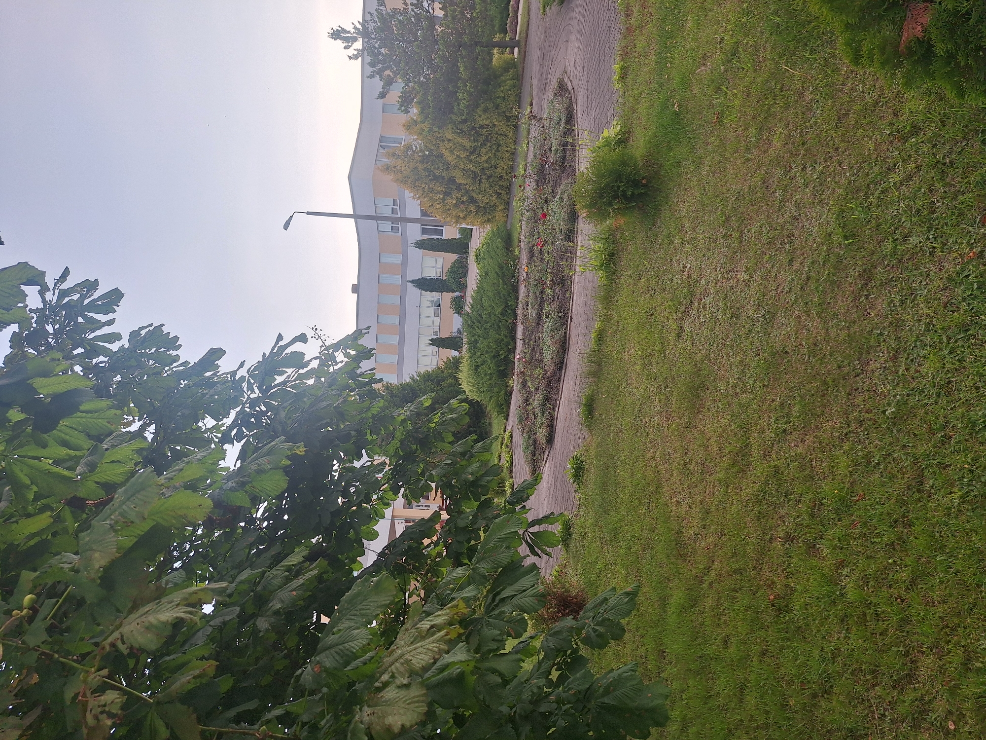 The image depicts an outdoor scene near a modern building in Капыльскі сельскі Савет, Belarus. In the foreground, a lush green lawn is visible, with the lower branches of a leafy tree on the left side partially obscuring the view. A paved pathway curves through the scene, leading to a circular flower bed in the mid-ground, which contains various plants and a few red flowers. Beyond the flower bed, several evergreen bushes and trees are arranged around the path. The building in the background is a multi-story structure with a light-colored facade and windows, appearing to be an office or institutional building. A streetlamp stands to the left of the building. The sky is overcast and a pale blue, suggesting a cloudy or hazy day. No people are visible in the image.
