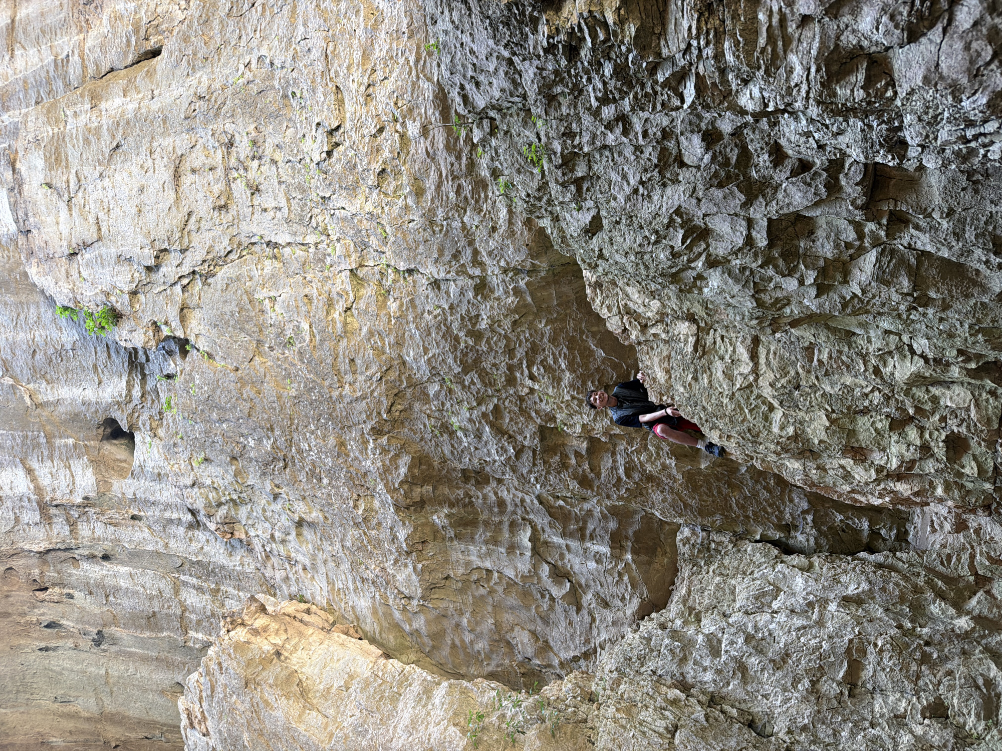 A man is rock climbing inside a large cave in Karlukovo, Bulgaria. The cave walls are light grey, rough, and textured, with some green moss growing in crevices. The climber is wearing dark clothing, red shorts, and climbing shoes. He is positioned on a section of the cave wall, gripping and reaching for handholds. The perspective of the image looks up toward the climber and the cave ceiling, emphasizing the height and depth of the cave.