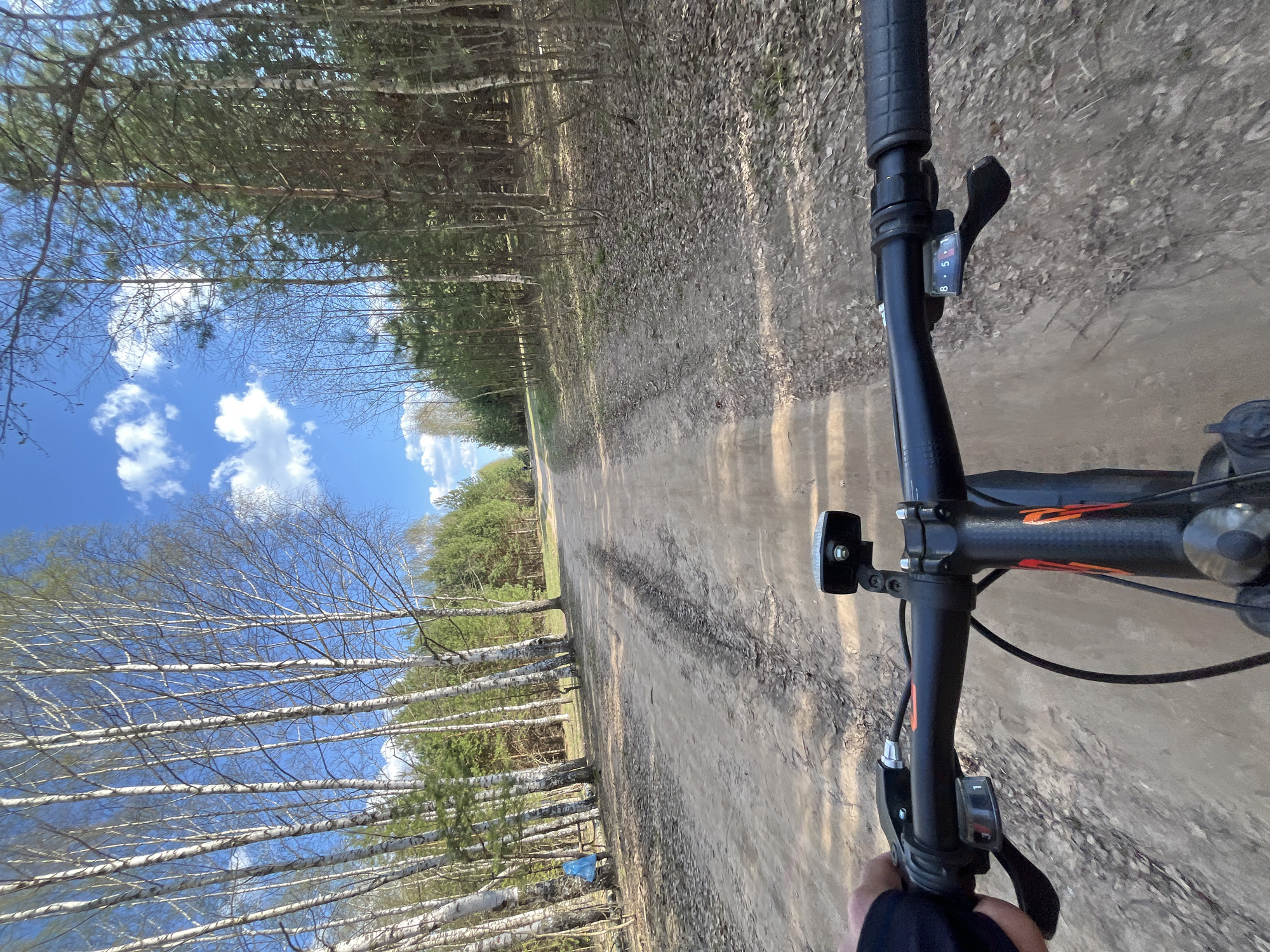 The image depicts a first-person perspective while riding a bicycle on a dirt road. The bike's handlebars are visible, with the gear shifter set on '8'. The road is flanked by trees on both sides; birch trees are prominent on the left and mixed woodland on the right. The road stretches into the distance. Above the trees, the sky is blue with scattered clouds. A small blue plastic bag is visible on the left side of the road, near the trees. The location could be near the city of Chaikovsky, Russia, based on the boreal forest environment.