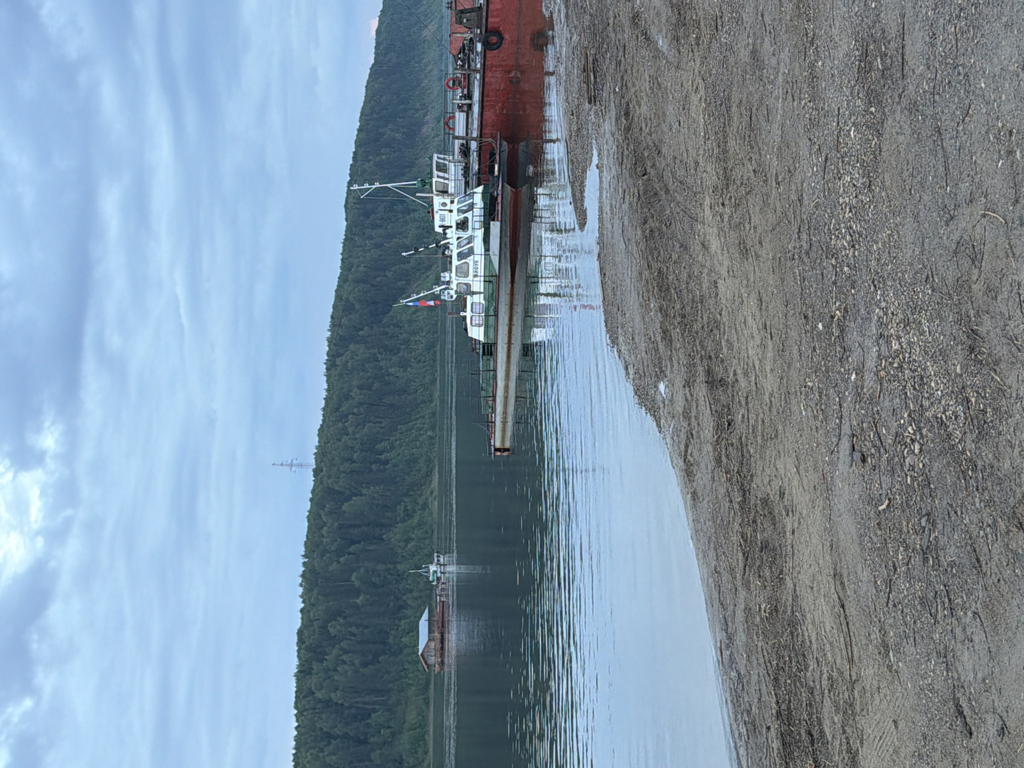 The image depicts a wide, calm river with a sandy bank in the foreground. A dense, green forest covers the distant hillside. Several boats are moored on the water. In the middle ground, a small floating structure resembling a house on a raft is visible, with a boat next to it. Closer to the foreground, two white and green boats are docked next to a large red barge. The sky is overcast with gray clouds. The scene appears to be an outdoor, natural setting along a river.
