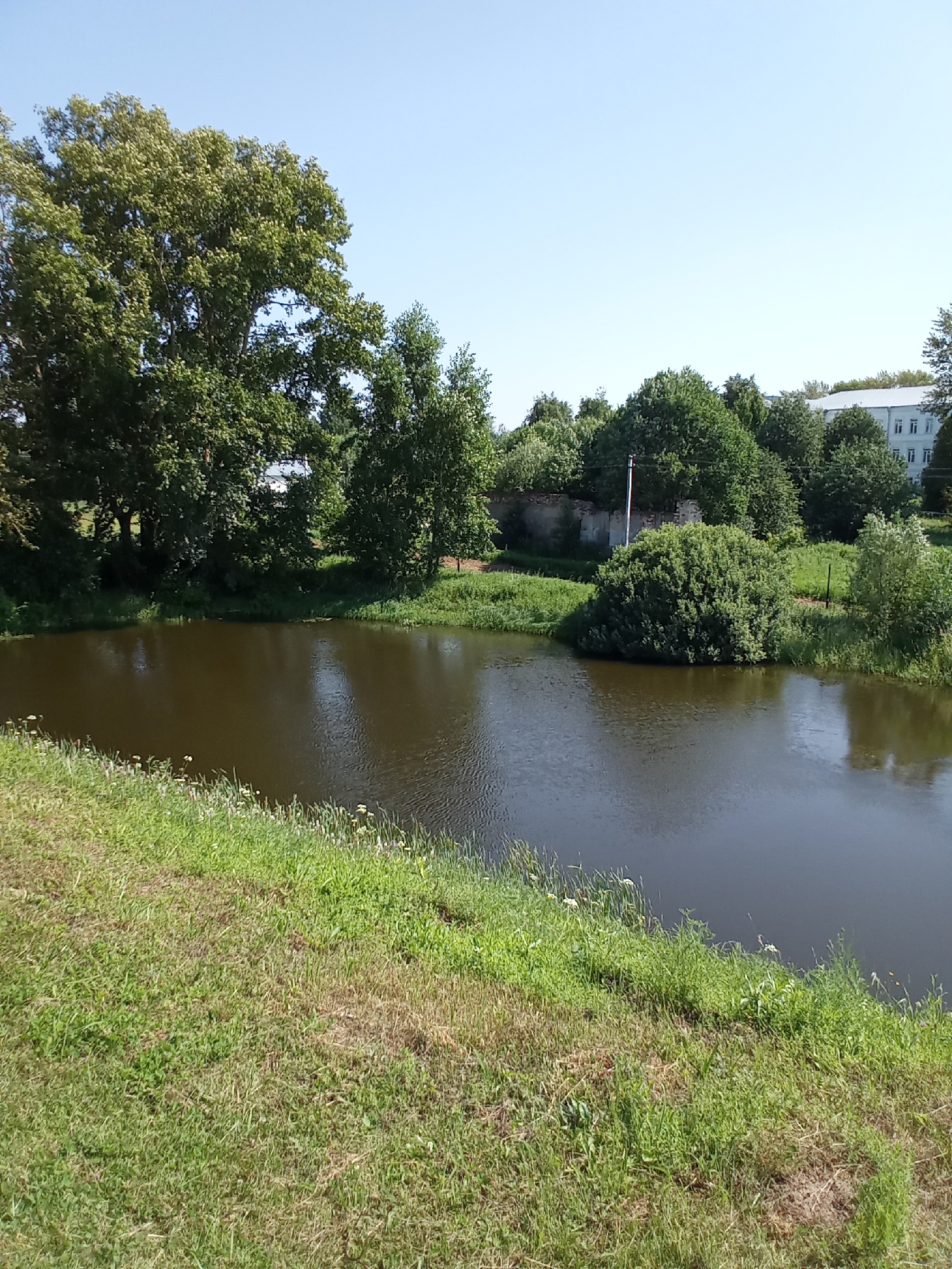 An outdoor scene in Belozersk, Russia, features a tranquil pond surrounded by lush green grass and trees under a clear blue sky. The pond's surface is dark and reflects the surrounding foliage. On the far bank, a cluster of trees is prominent, with a small building visible in the distance behind them. A partially visible brick wall is also present on the far bank, hinting at older structures. The foreground consists of a grassy embankment sloping down to the water's edge, with scattered small wildflowers. The scene conveys a sense of peaceful nature within the city.
