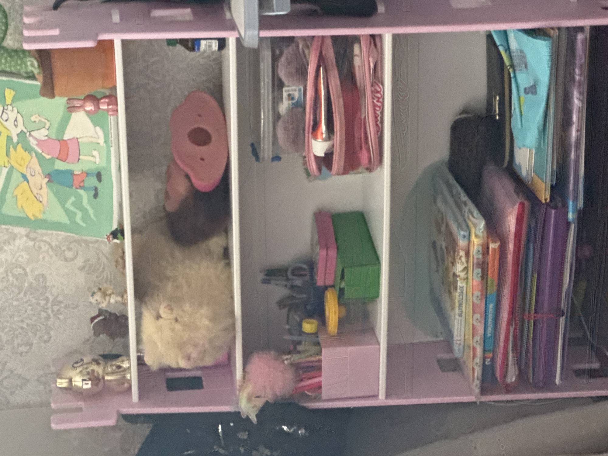 This is a medium shot, eye-level, indoor photograph of a pink, multi-tiered shelf unit. The unit is positioned against a textured, light-colored wall. The shelf unit is filled with various items, appearing to be a child's toy or storage unit.
The top shelf contains several small figurines, including a gold-colored cat-like figure, a brown figure in a Santa hat, and a small, green-capped gnome. There is also a pink, metallic bunny figurine and a terracotta-colored pot with a green plant. A large, light-yellow, fluffy stuffed animal occupies a significant portion of this shelf. To the right, a pink, castle-like structure is visible.
The second shelf from the top holds a pink, heart-shaped object with a circular cutout, and a small brown bottle with a dark liquid.
The third shelf features a pink plastic container filled with pens and pencils, a fuzzy pink pom-pom, and a clear plastic box containing two small, fluffy purple balls. A pink bag with a clear plastic window containing cosmetic items, including an orange tube, is also on this shelf. To the left, there are two stacked boxes, one pink and one green.
The bottom shelves are stacked with books and binders. These appear to be children's books, some with colorful covers. The topmost book on the stack has text that is partially visible. There is also a dark-colored clutch or wallet visible on the second to bottom shelf, resting on top of some books. A light blue fabric item with a pattern of green and yellow shapes is on top of some of the books on the bottom shelf.
The lighting is somewhat dim, and the focus is soft throughout the image, with some areas appearing slightly out of focus. The overall impression is of a cluttered but organized personal space, likely a bedroom.