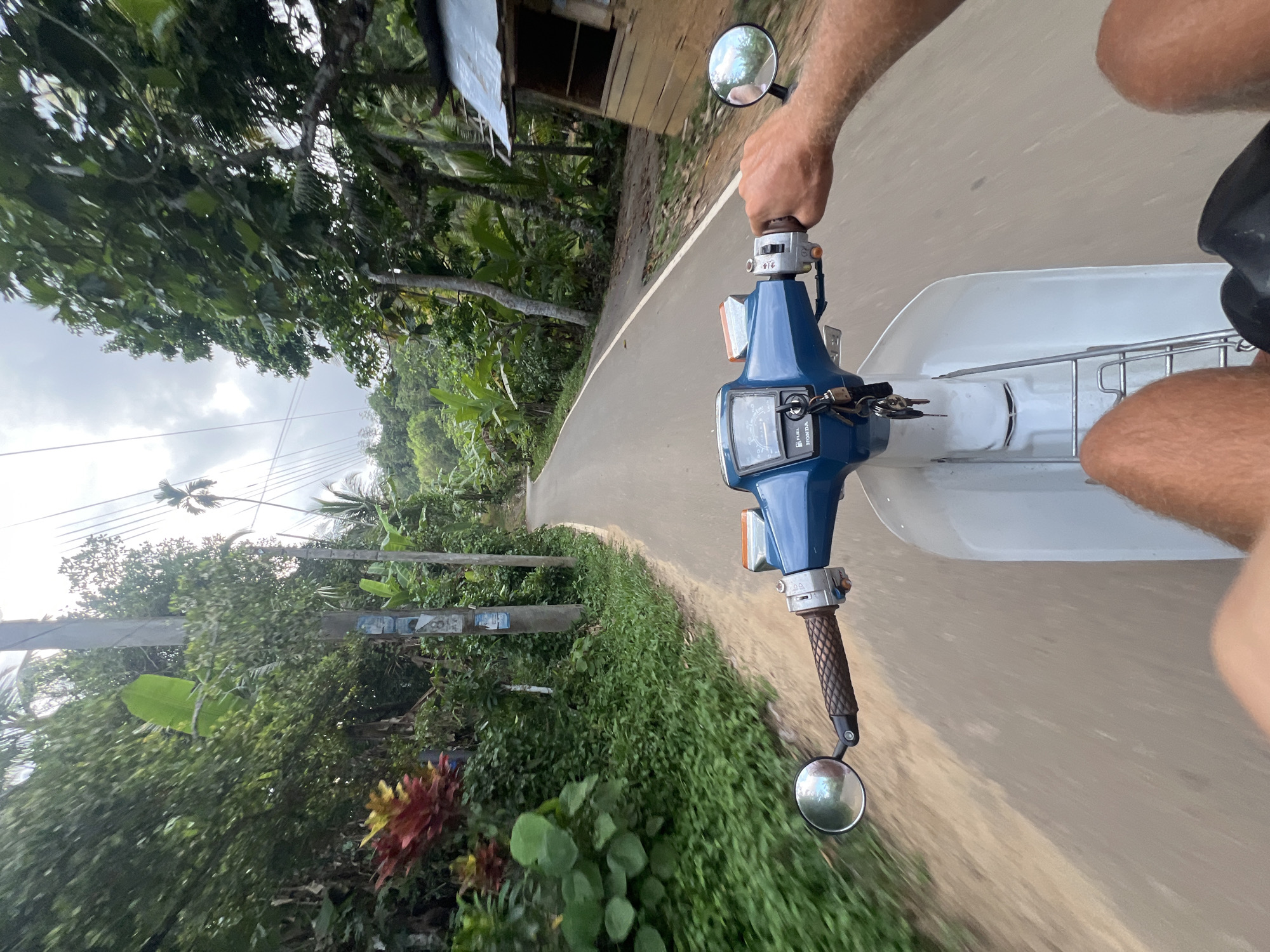 A point-of-view shot from a person riding a blue and white Honda scooter on a paved road in a rural area. The rider's hands are visible on the handlebars, and their legs are partially visible. The road curves slightly ahead. Lush green vegetation, including trees and shrubs, lines both sides of the road. Overhead power lines stretch across the scene. A small wooden structure is visible on the right side of the road. The sky is overcast. Based on EXIF data, the location is Padinnoruwa, Sri Lanka.