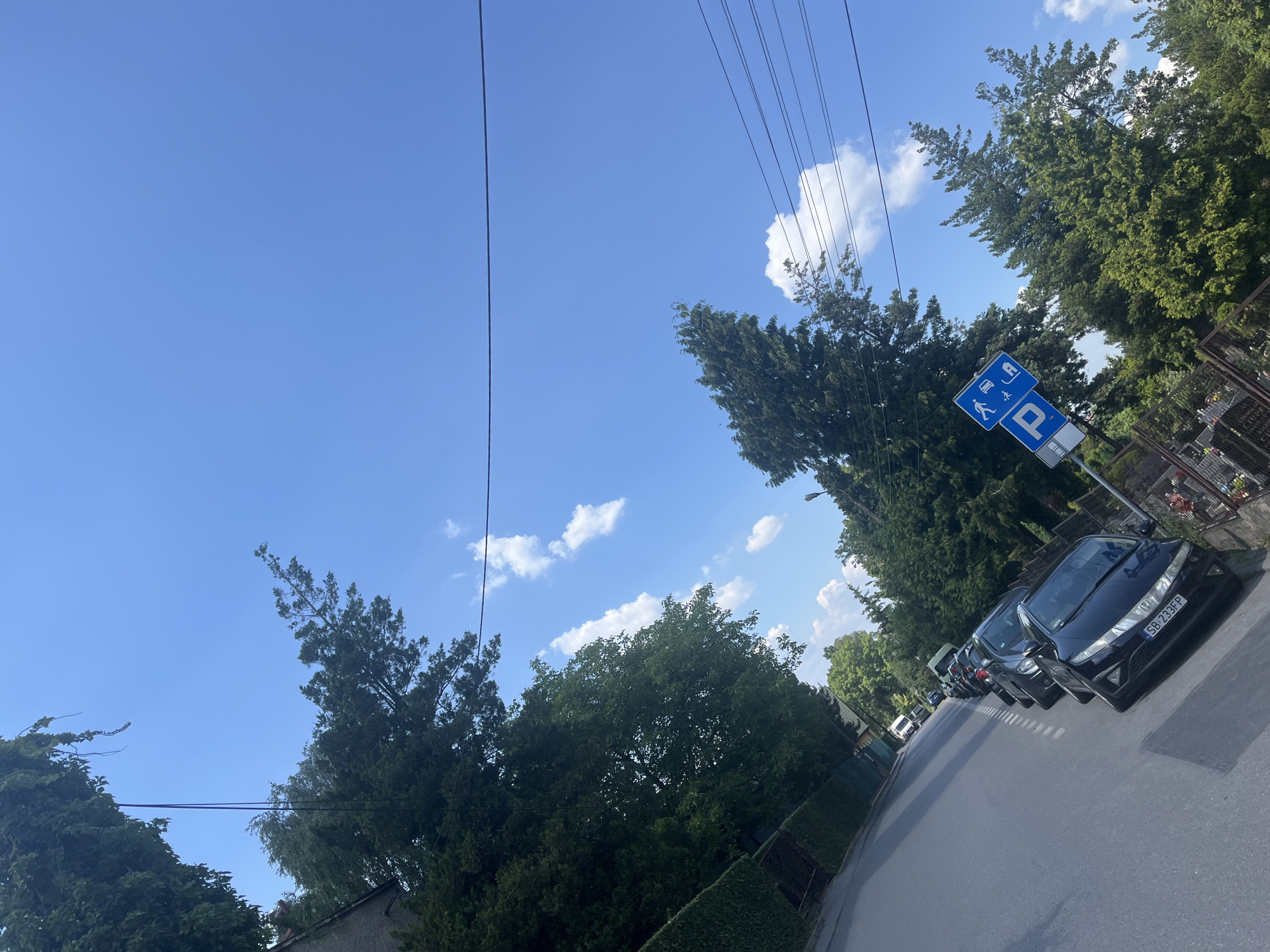 The image depicts a street scene under a clear blue sky with scattered white clouds, suggesting it is daytime with pleasant weather. The perspective is angled, looking upwards and to the right. A row of parked cars lines the right side of the asphalt road. The closest car, a dark-colored Honda, has the license plate "SB 233FP". Beyond this car, several other vehicles are visible, parked consecutively.
On the right side of the road, a metal fence and a variety of trees form a dense backdrop. A blue traffic sign is visible, indicating parking regulations. The sign features icons for a car, a person walking, and a disabled person symbol, along with a prominent "P" for parking.
The left side of the image is dominated by the sky and more trees, some of which are quite tall and dense with green foliage. Power lines stretch across the upper portion of the frame. The overall impression is a quiet, residential street on a sunny day. There are no visible people in the image, and the scene is static, focusing on the parked cars and the surrounding environment.