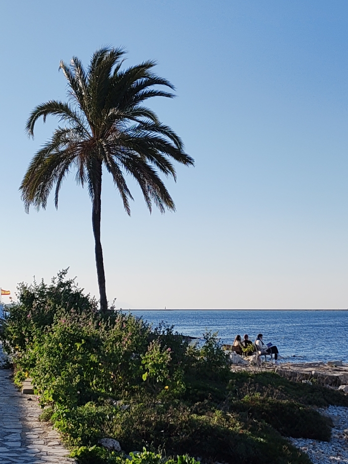 The scene depicts a coastal area in Rotes, Spain, under a clear, light blue sky. A tall, slender palm tree with dark green fronds stands prominently on the left side of the frame. Below the palm tree and extending towards the foreground, a dense line of green bushes with scattered pink and yellow blossoms runs parallel to a stone-paved pathway, which curves from the bottom left. To the right of the bushes, at the water's edge, three individuals are seated on a rocky shore. The person on the far right is seated on a dark folding chair, appearing to read from a white object. A small, light-colored dog is visible near the seated group. The calm, blue water of the sea extends to the horizon, where a small, dark structure, possibly a buoy or lighthouse, is faintly visible. In the far left background, partially obscured by bushes, a Spanish flag on a pole is visible. The lighting suggests daytime conditions.