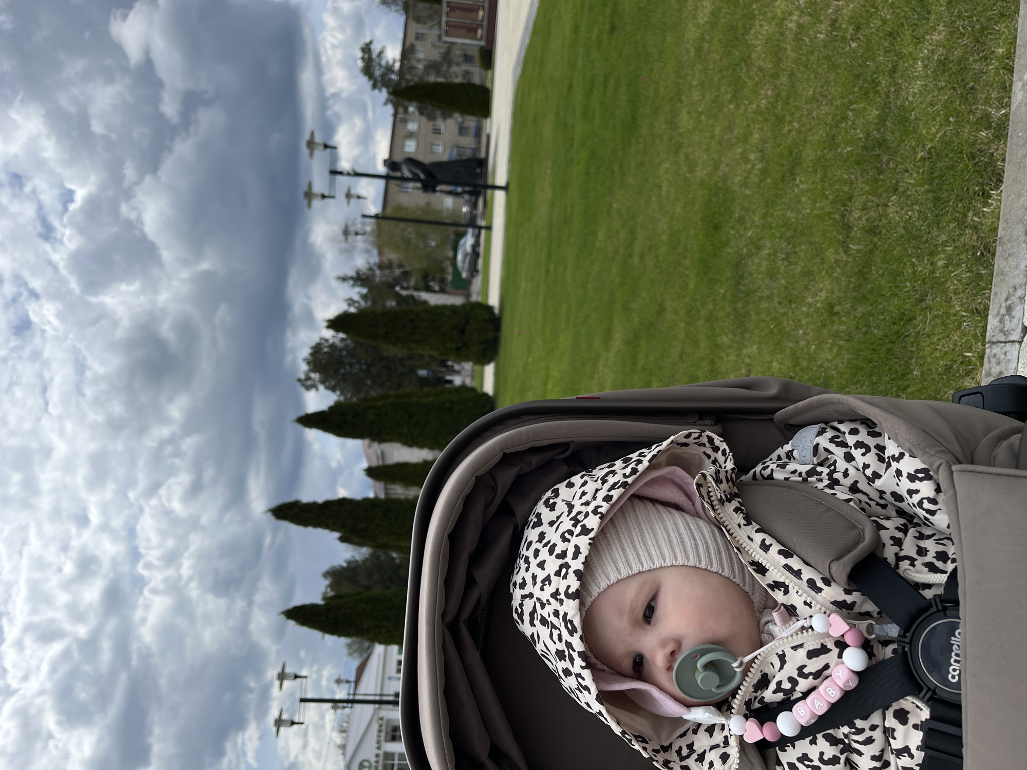 A baby in a stroller is outdoors in what appears to be a park or green space in Novopokrovskaya, Russia. The baby is wearing a white and black patterned hooded jacket, a light-colored beanie, and has a pacifier in its mouth. A beaded chain with the word "BABY" is attached to the baby's clothing. The stroller is dark brown or gray.
Behind the stroller, there is a green lawn, several tall, thin evergreen trees, streetlights, a statue, and a building in the background. The sky is cloudy.
