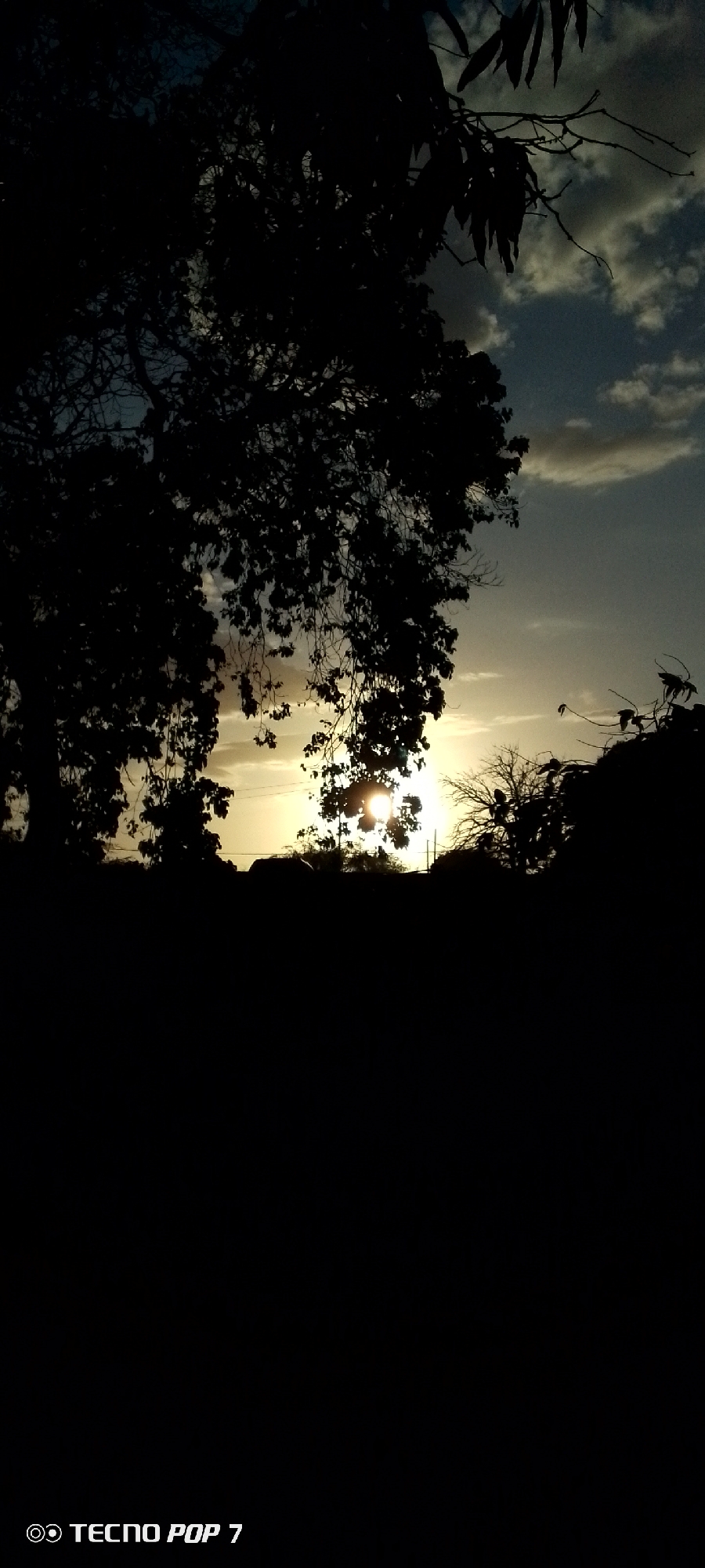 The image depicts a sunset scene with trees silhouetted in the foreground. The sun is partially obscured by the trees, creating a bright glare. Above the trees, there are clouds in the sky. The photo was taken with a Tecno Pop 7 phone. The location is Altagracia, Venezuela. No people are visible.