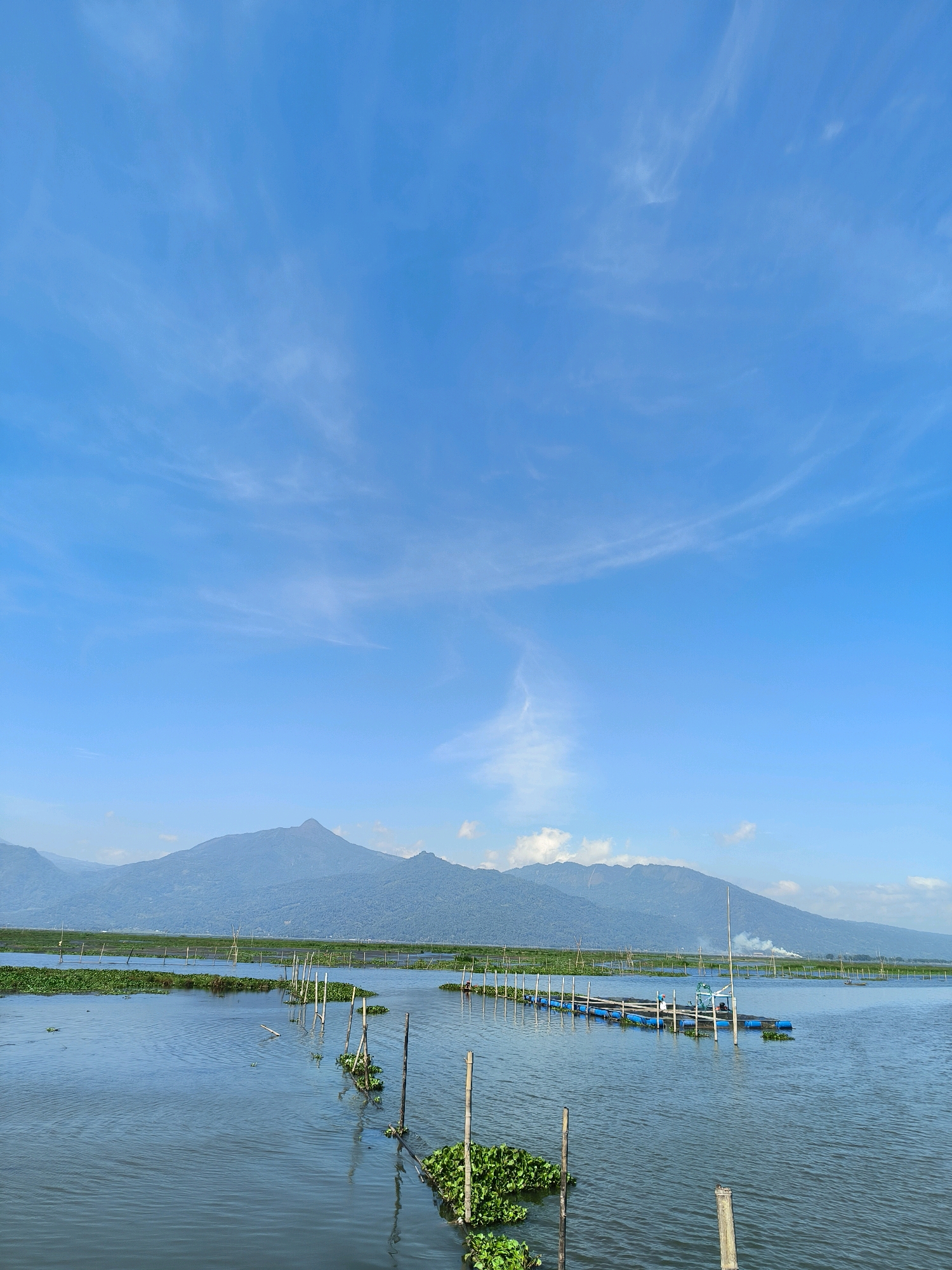 The image shows a body of water with some structures in it, and mountains in the background. The sky is blue with wispy clouds. In the foreground, the water is calm, with some water plants visible. Wooden poles are sticking out of the water in rows, with some of them having green plants attached to them. Further out in the water, there are blue barrels arranged in a line, possibly part of a floating structure or fish farm. In the distance, there are lush green hills and a large mountain. The overall scene appears to be a natural landscape, possibly a lake or reservoir, with some human-made elements integrated into it. The location is identified as Tuntang, Indonesia.
