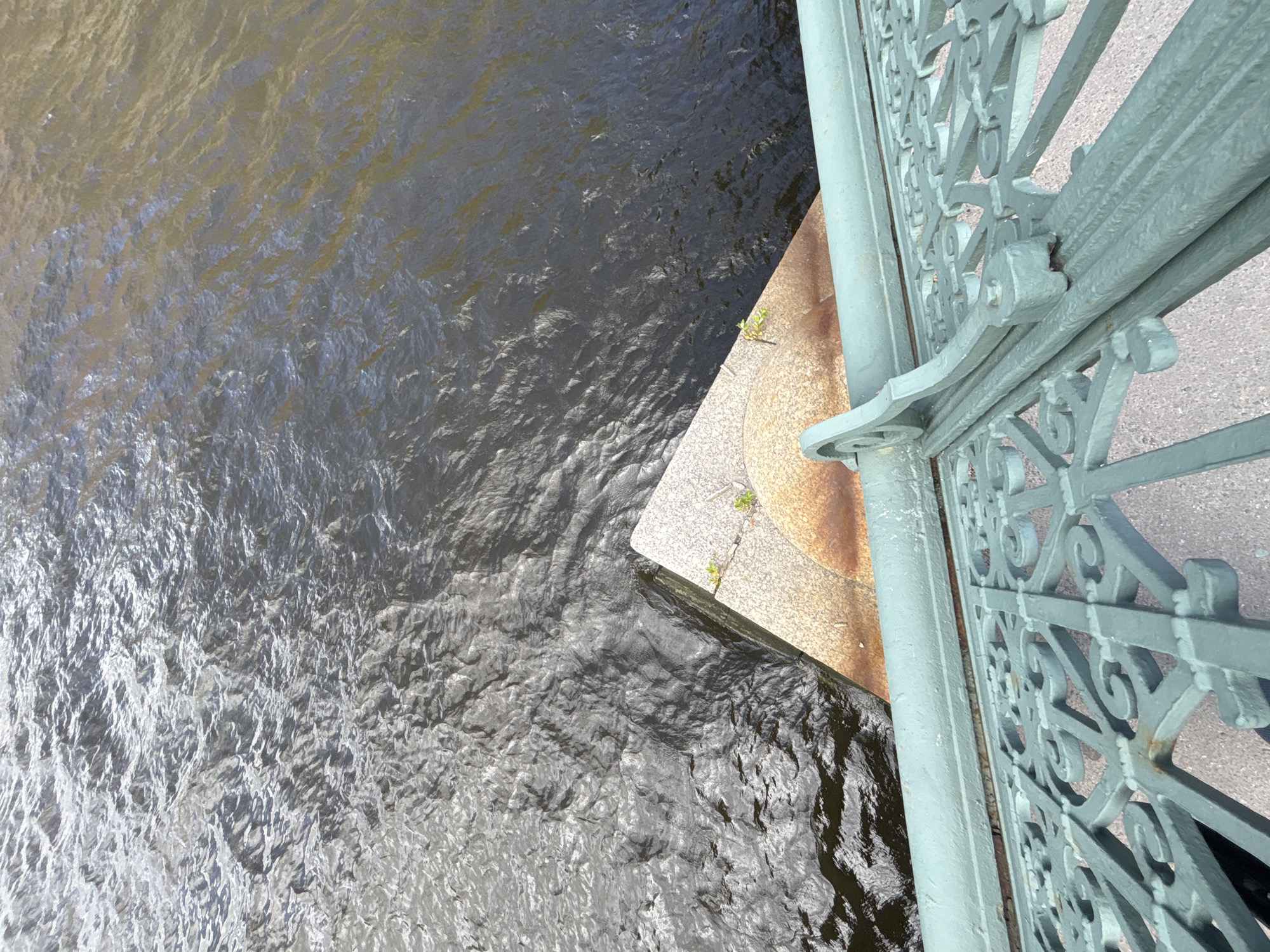 The image shows a view from a bridge overlooking a body of dark water, likely a canal or river in Saint Petersburg, Russia. In the foreground, a teal-colored ornate metal railing with intricate scrollwork is visible, suggesting it is part of the bridge's architecture. A small triangular stone ledge juts out into the water from the bank. The water's surface is rippled and shows reflections of the sky and surrounding structures, with some areas appearing darker than others. Two small green sprouts are visible growing from the stone ledge. The overall scene depicts a scenic urban waterfront from a bridge.