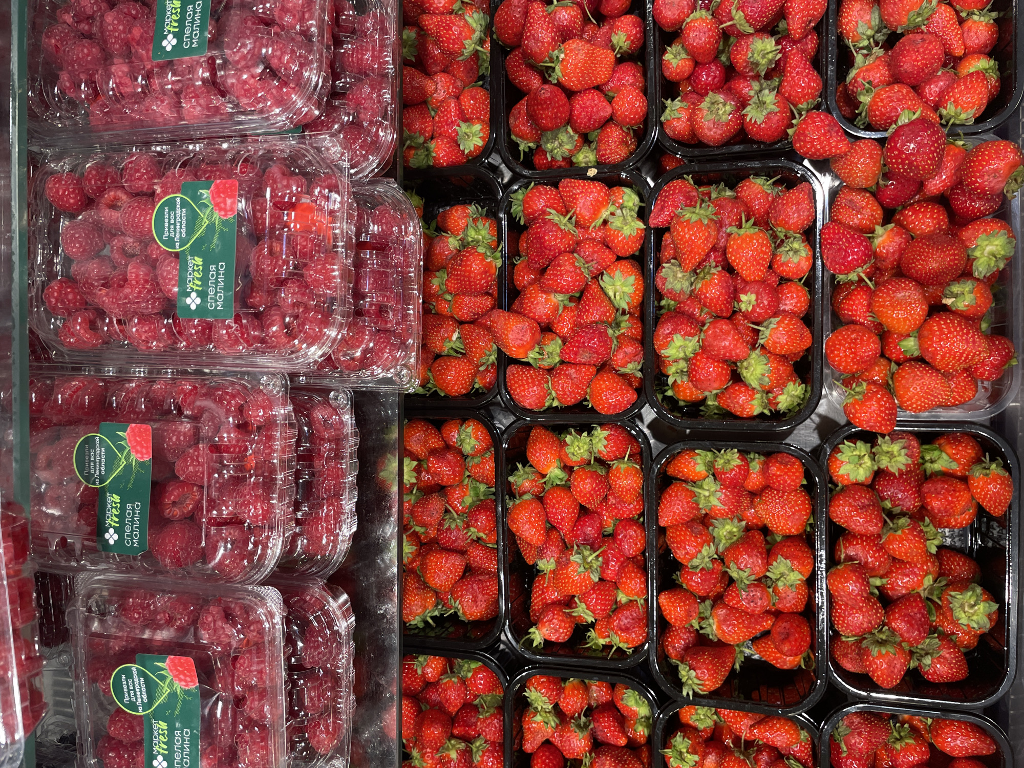 The image shows a retail display of fresh berries, specifically raspberries and strawberries, in clear plastic containers and black plastic trays. The raspberries are packaged in two rows of clear plastic clamshell containers, stacked one above the other. Each container has a green label with white text and an image of a raspberry. The strawberries are displayed in black plastic trays, also stacked in rows. The berries appear ripe and are arranged in a visually appealing manner, typical of a supermarket or grocery store. There are no people or animals visible in the image. The lighting suggests an indoor environment, likely a refrigerated display case. The labels on the raspberry containers, visible in close-up crops, indicate "Market Fresh" and "Спелая малина" (Ripe Raspberry) and "Привезли для вас из Ленинградской области" (Brought to you from the Leningrad region), suggesting the origin of the product. The city of Pargolovo, Russia is known to have several shopping centers and supermarkets that would display such produce.