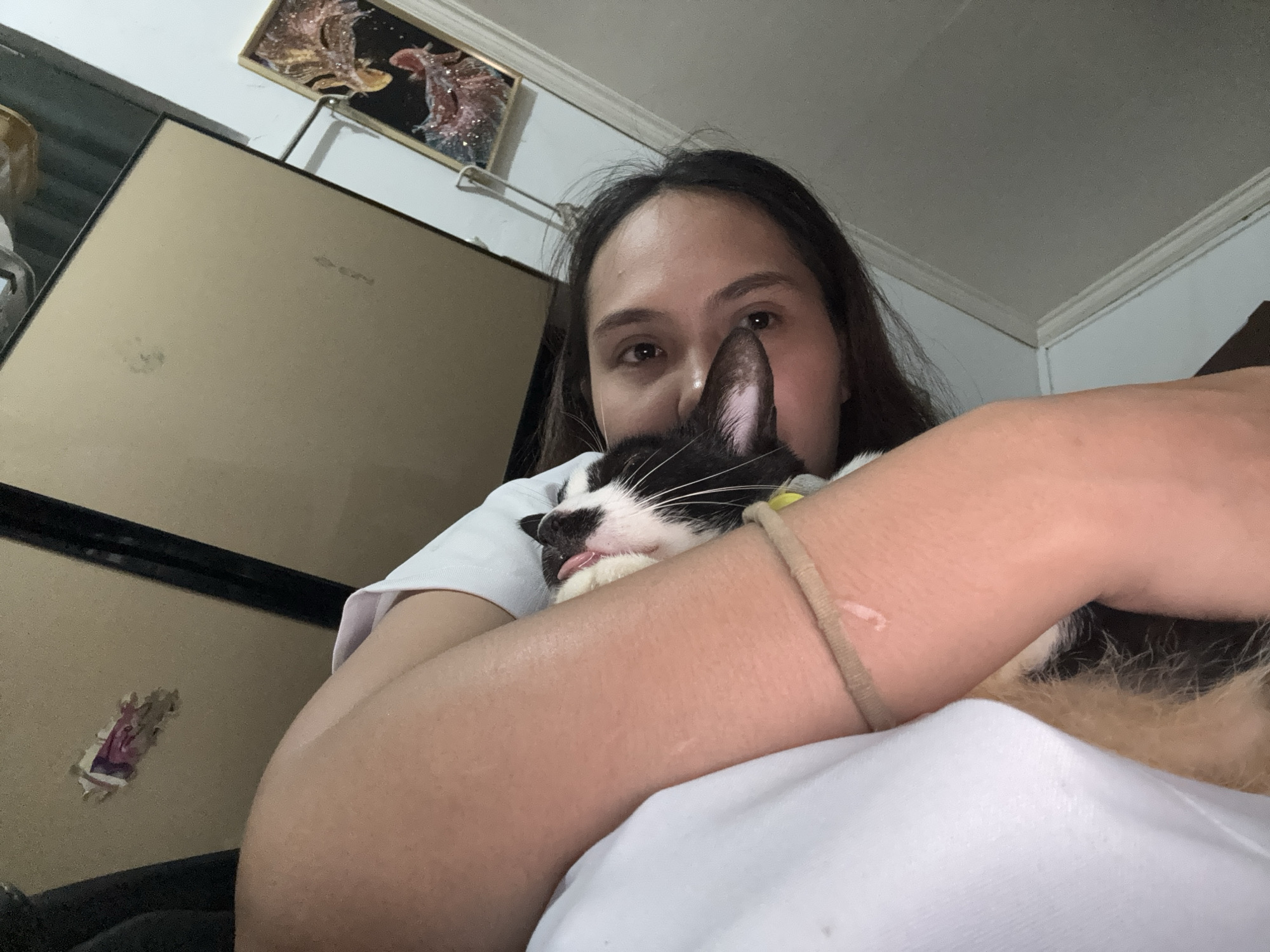 A woman is holding a black and white cat. The cat's tongue is sticking out slightly. The woman has dark hair and is wearing a white shirt. She is wearing a hair tie on her arm. In the background is a cabinet and a framed picture on the wall. The location is Davao City, Philippines.