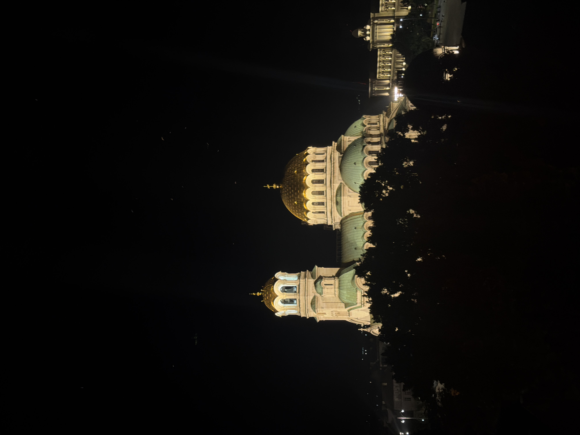 The image depicts the Alexander Nevsky Cathedral in Sofia, Bulgaria, at night. The cathedral's illuminated golden domes and green roofs are prominent against the dark sky. To the right of the cathedral, another illuminated building with classical architecture and statues is visible. The foreground is dominated by dark silhouettes of trees. The scene is set in an urban environment, with some distant lights indicating the presence of a city.