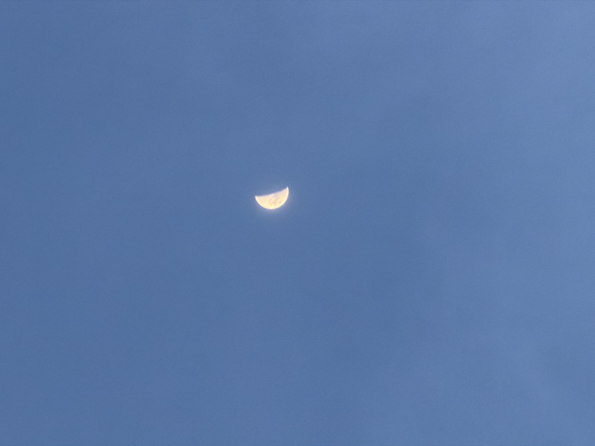 The image displays a serene sky scene, dominated by a prominent half-moon against a clear, uniform blue backdrop. The main subject is the moon, visible as a brightly illuminated, yellowish-white crescent shape, often referred to as a first quarter or third quarter moon, with its illuminated portion facing the right side of the frame. Subtle textural variations are discernible on the moon's surface.
The setting is an open sky, characterized by a solid, medium shade of blue that is completely free of clouds or other atmospheric features, indicating clear weather conditions. The visibility of the moon during what appears to be daylight hours (suggested by the blue sky) implies the photograph was taken in the morning or late afternoon/early evening. The location context provided is North Kuta, Indonesia.
There are no people, man-made objects, or specific events taking place. The focus is solely on the celestial body and its atmospheric environment. No discernible text is present in the image.