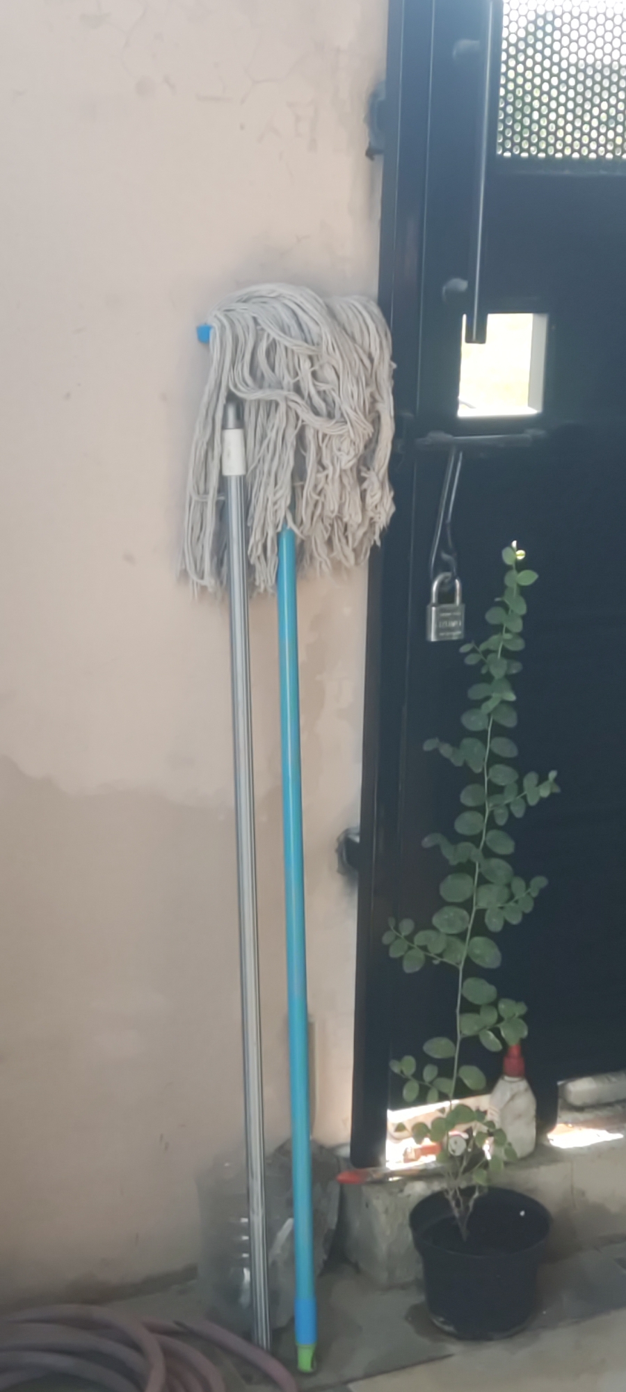 In Gebang, Indonesia, two mops stand upright against a textured, light-colored wall. The mop on the left has a silver handle, and the one on the right has a blue handle. To the right of the mops, a black metal door is visible, partially open. Attached to the door is a silver padlock. A small green plant in a black pot sits on a concrete surface near the door. In the foreground, a coiled hose is present. The overall setting appears to be an outdoor or semi-outdoor space, possibly a backyard or alleyway.