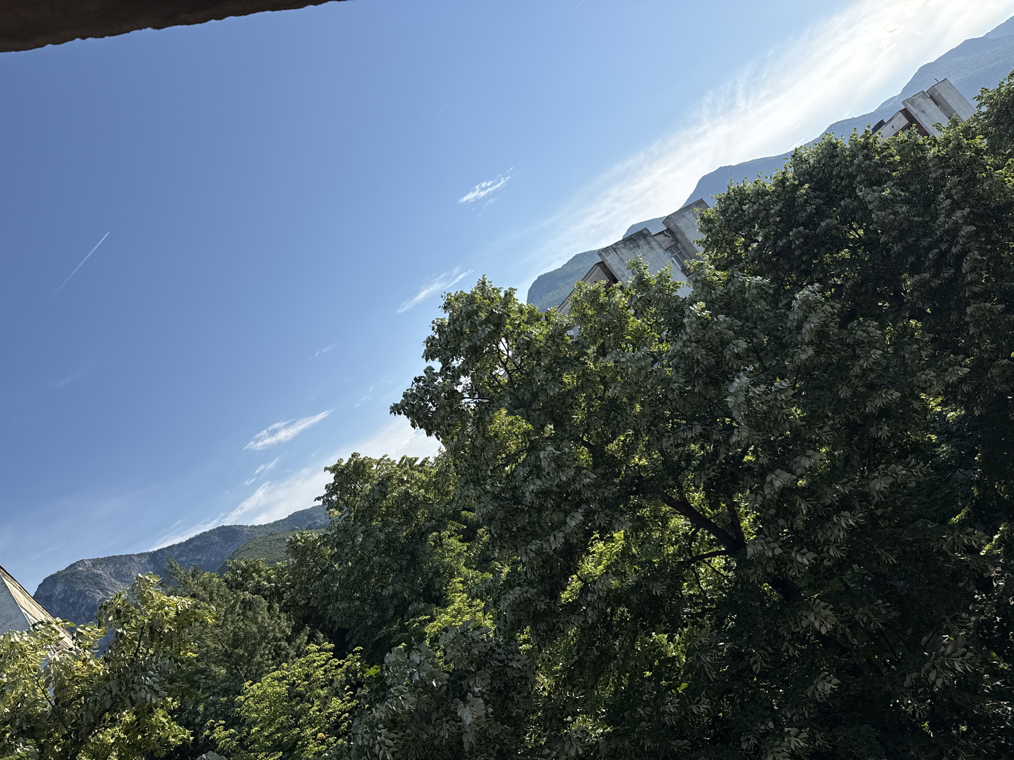 The image depicts a tilted view of trees in the foreground against a backdrop of mountains and a clear blue sky. In the sky, a contrail from an airplane is visible. Along the right edge of the frame, a dark, rough-textured object protrudes, possibly part of a building or natural structure. The trees, with their abundant green foliage, are partially illuminated by sunlight, creating a dappled effect. In the middle ground, several buildings with concrete facades and windows can be seen, situated along a slope that leads up to the mountains. The overall scene suggests an outdoor environment, possibly a residential area on the outskirts of Vratsa, Bulgaria, given the proximity of lush greenery to imposing mountain ranges.