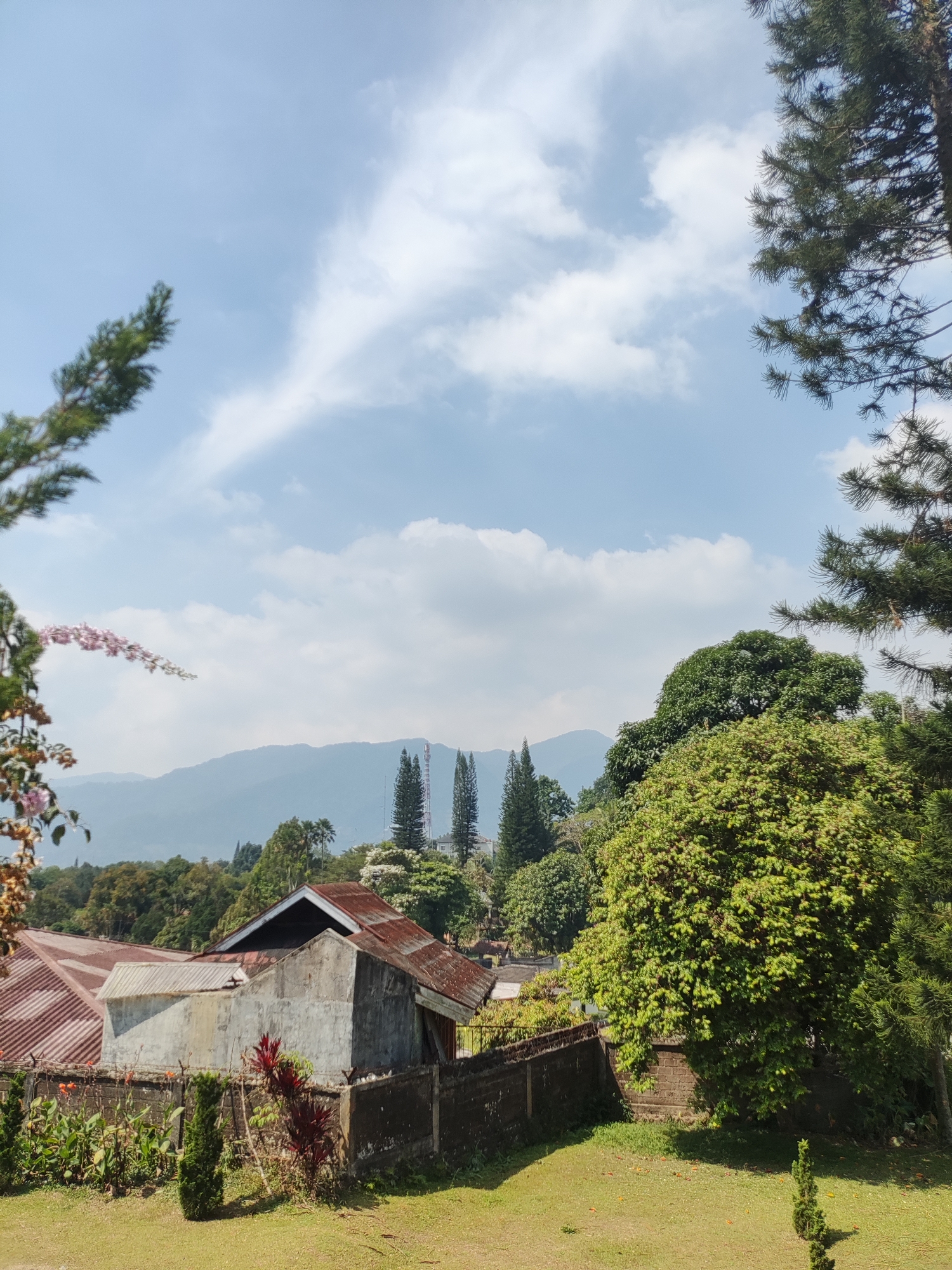 The image captures a daytime scene in Cisarua, Indonesia, featuring a mix of natural and man-made elements. In the foreground, a well-maintained lawn is visible, with scattered leaves. A low, dark-colored fence runs across the mid-ground, separating the lawn from a residential area. Behind the fence, a weathered house with a rusty, corrugated iron roof is partially visible, along with some lush green plants and ornamental red foliage.
Beyond the immediate vicinity, a dense collection of trees and vegetation dominates the landscape. The trees vary in size and type, with some appearing to be tall pine trees. In the distance, rolling hills and mountains form a majestic backdrop under a bright blue sky dotted with fluffy white clouds. Two tall communication towers are prominent on one of the hills, adding a modern touch to the natural scenery. The overall impression is one of a serene, semi-rural environment with a blend of rustic homes and abundant greenery.
