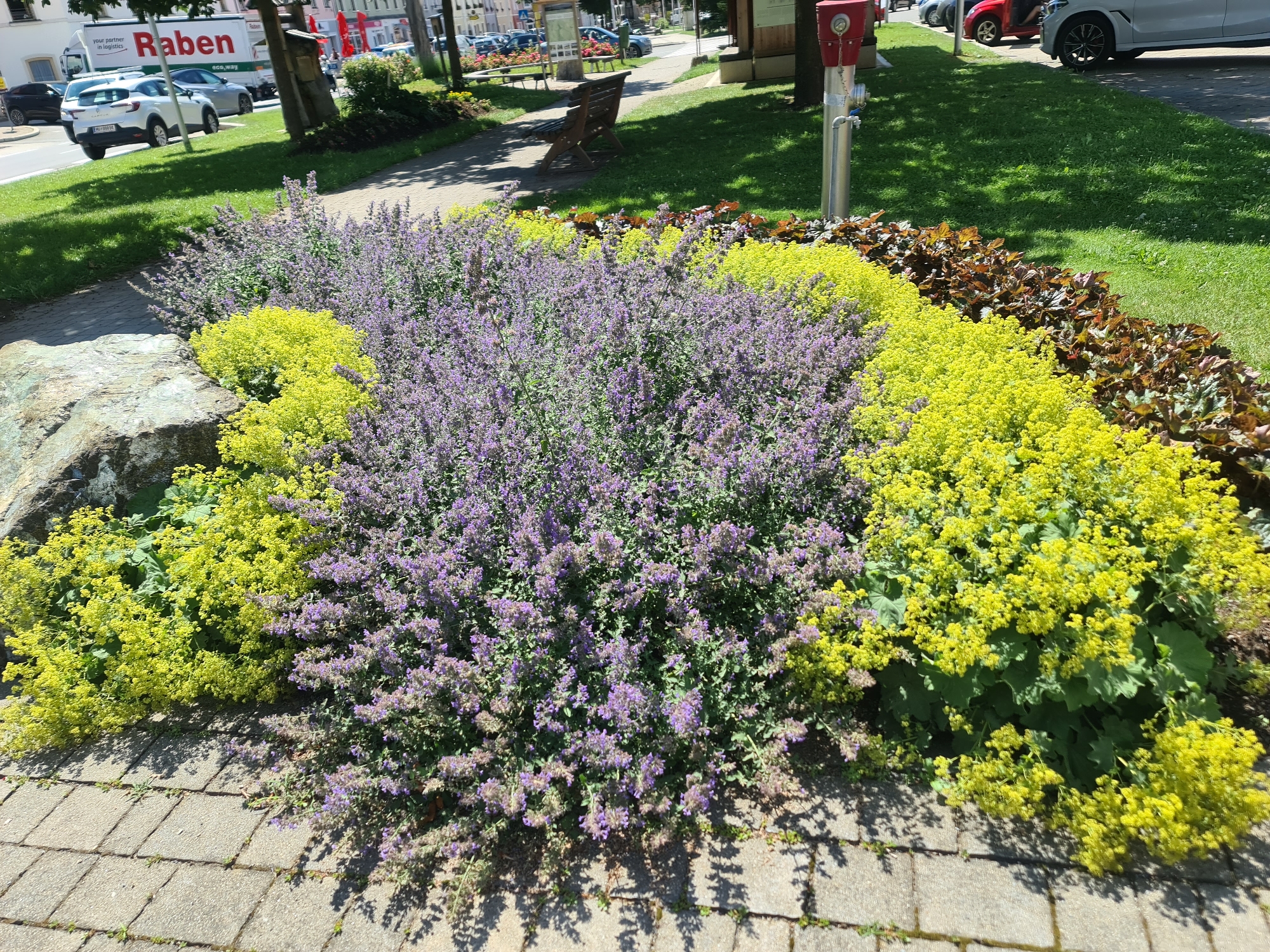 The image captures a vibrant flower bed featuring a prominent display of purple catmint and bright yellow lady's mantle. These flowers are situated on a paved walkway constructed from light grey concrete tiles, which shows some signs of moss growth. Behind the flower bed, a lush green lawn extends into the background, interspersed with shadows cast by trees.
To the left of the flower bed, a large, rough-textured grey stone boulder is visible. In the middle ground, a wooden park bench is placed on the grass, and a pathway leads away from it. Beyond the bench, a red and silver fire hydrant stands beside a tree trunk. Further back, a white truck with "Raben" branding is parked on a street, and several cars are visible in a parking lot and on the road. The environment suggests an outdoor public space, possibly a park or a well-maintained area in the town of Sankt Marein bei Neumarkt, Austria, given the presence of a fire hydrant and park bench. The lighting indicates it is daytime, with clear sunlight. No people are visible in the frame.