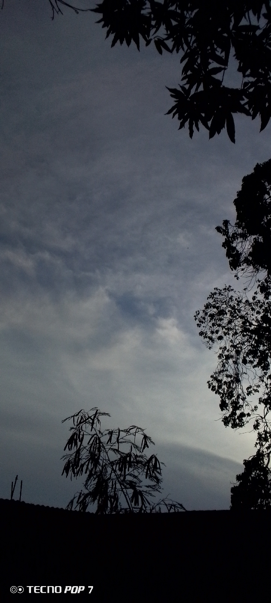 The image shows a nighttime view of the sky in Altagracia, Venezuela, with cloud cover. Tree silhouettes frame the top and right edges of the image, and a smaller tree is visible in the lower left. A dark structure is visible at the bottom of the image. The camera is a Tecno Pop 7.