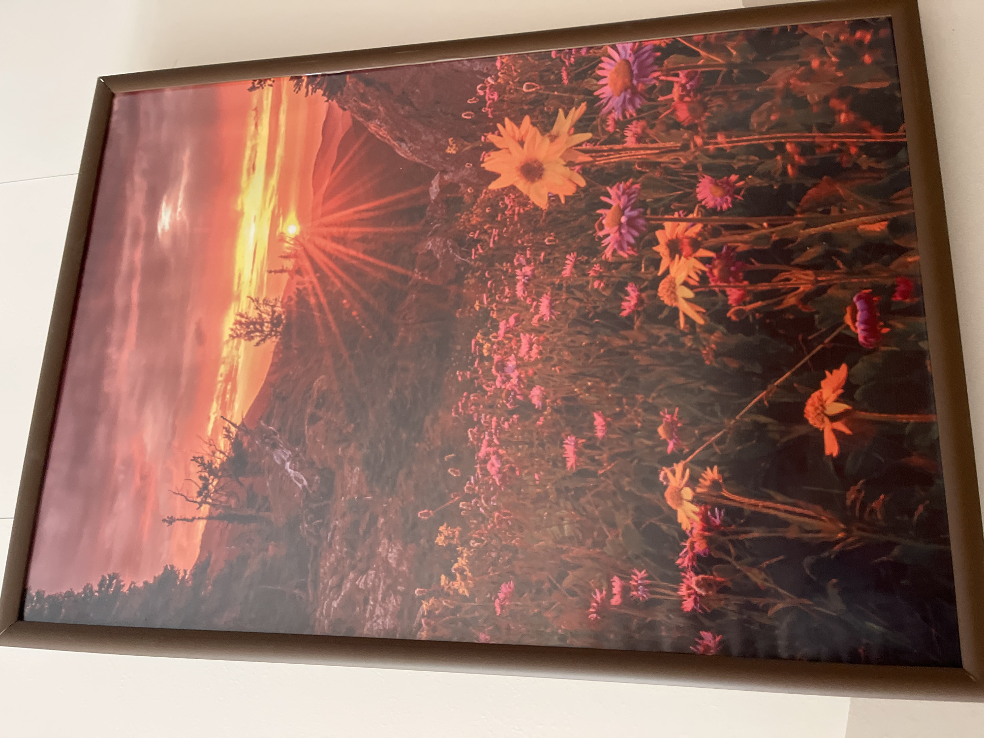 A framed photograph shows a vibrant sunset over a mountainous landscape dotted with wildflowers. The sky is a dramatic blend of orange, red, and purple hues, with sunbeams radiating outwards from the setting sun. In the foreground, a field of pink, yellow, and purple wildflowers fills the lower half of the frame. The photograph is illuminated by the warm glow of the sunset.