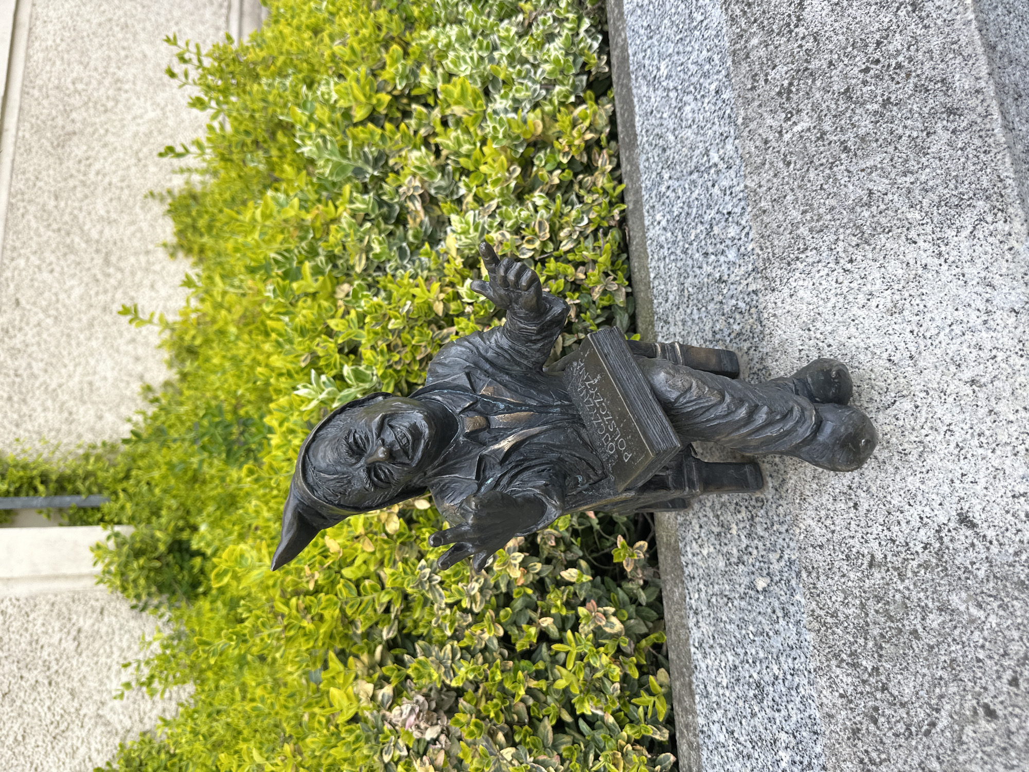 A small bronze statue of a Wrocław dwarf rests on a gray stone surface, nestled near green and yellow foliage. The dwarf wears a pointed hat and holds a book, possibly related to education or local history. The statue is part of a larger series of dwarf figurines scattered throughout Wrocław, Poland. The backdrop includes a textured, light-colored wall.
