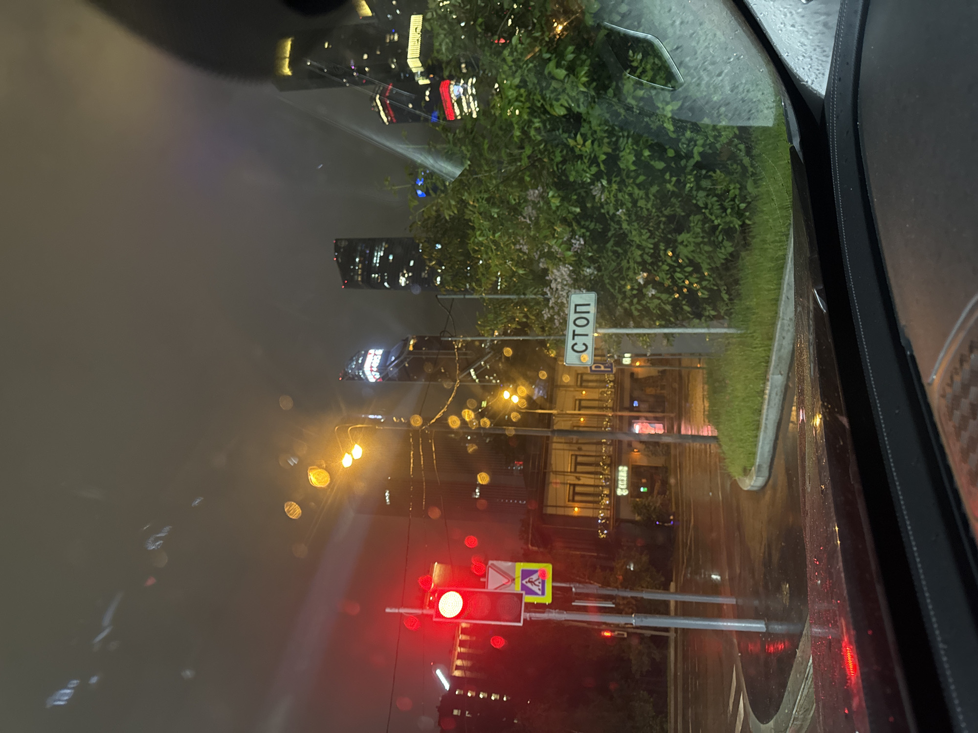 The image depicts a view from inside a vehicle, likely a car, at night in an urban environment. It appears to be raining. The reflection of city lights and buildings is visible on the windshield. A traffic light is showing a red signal. There's a road sign in the distance, the sign displays stop in russian "СТОП". Vegetation is seen to the side of the road. The location is in an unknown city.