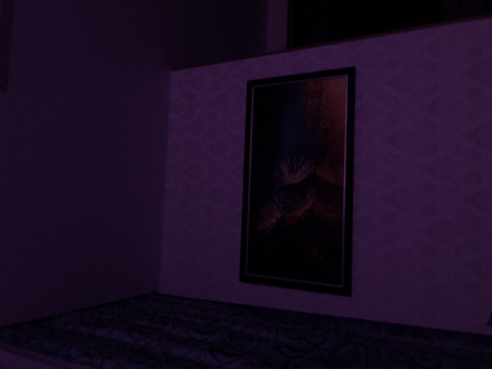 The image depicts a dimly lit room, possibly an interior space within a building, located in an unknown city. The dominant color is purple, which pervades the scene due to the lighting and possibly the color scheme of the room.
The room features patterned wallpaper, giving a sense of texture to the walls. A framed artwork is mounted on one of the walls; it depicts what appears to be dandelion seeds against a dark background, possibly a night sky or a deep gradient. The frame is dark, and it contrasts with the artwork, drawing the viewer's eye to it.
The floor is covered in a patterned rug that echoes the color scheme of the room. The patterns are swirling and abstract, adding a subtle movement to the visual plane of the room.
The left side of the image shows a darker section of the wall, possibly indicating a corner or a transition into another room or a section of the same room that receives less light. Overall, the setting is somber and quiet, with the focus directed towards the artwork on the wall.