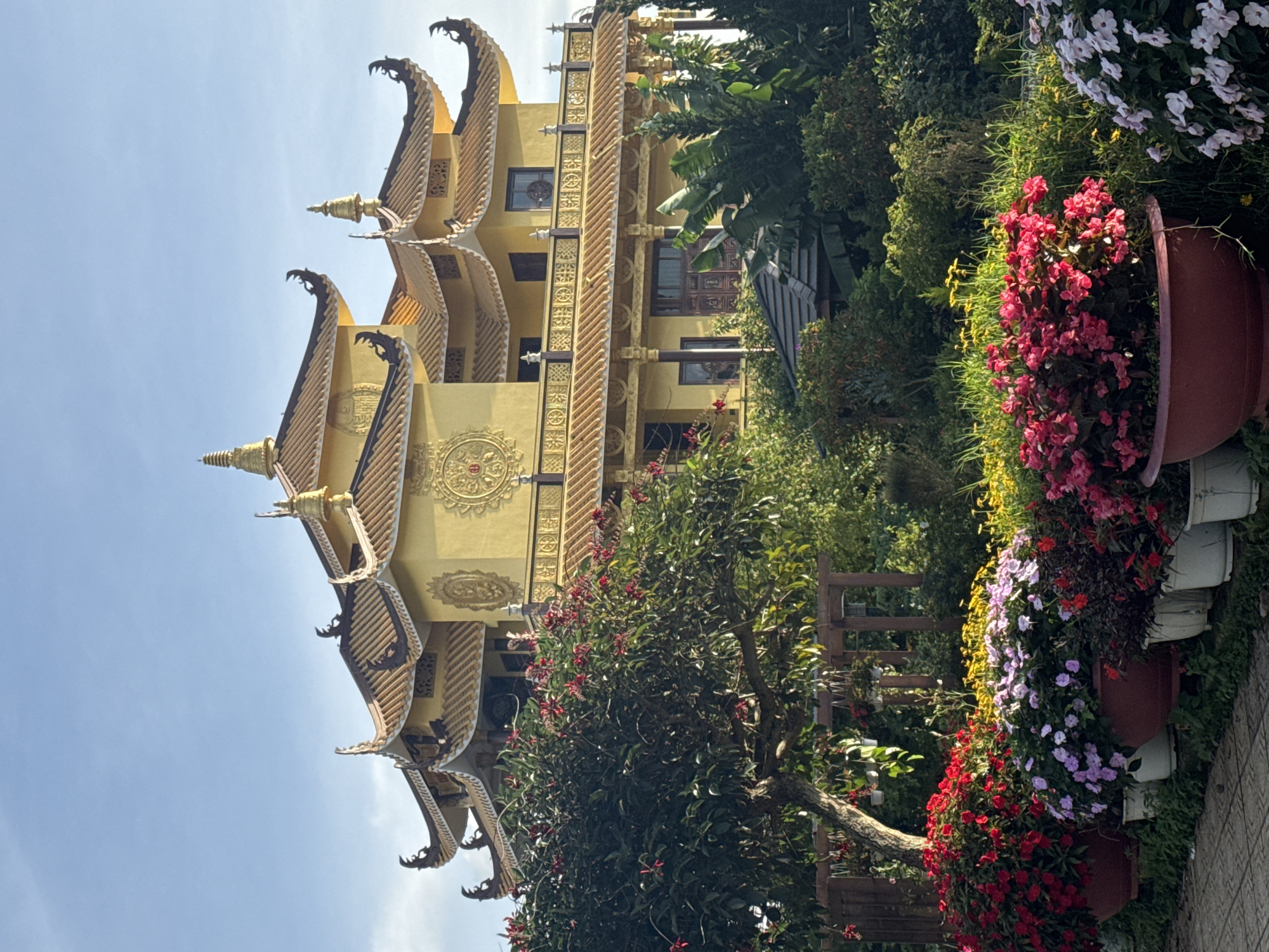 A vibrant, golden Buddhist temple, characterized by its multi-tiered, ornate roofline, stands majestically against a clear blue sky. The temple's facade is adorned with intricate carvings and circular motifs. In the foreground, a lush garden bursts with color, featuring an array of potted flowers in shades of red, purple, pink, and yellow. A large tree with red blossoms is positioned to the left of the temple, partially obscuring the lower levels. The garden is neatly arranged with plants in various containers, some on the ground and others hanging. The scene is set on a paved walkway leading into the garden. This location is likely the Truc Lam Zen Monastery in Da Lat, Vietnam, known for its stunning architecture and beautiful gardens.