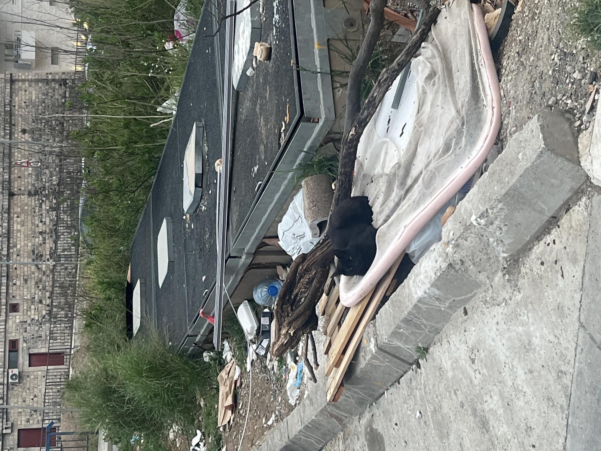 The image shows an outdoor scene in Boreti, Montenegro, with a pile of discarded items next to a concrete curb. Items include parts of a discarded bed frame, wooden planks, a large dark branch, plastic bottles, and miscellaneous litter. A building with multiple windows is visible in the background, partially obscured by greenery.